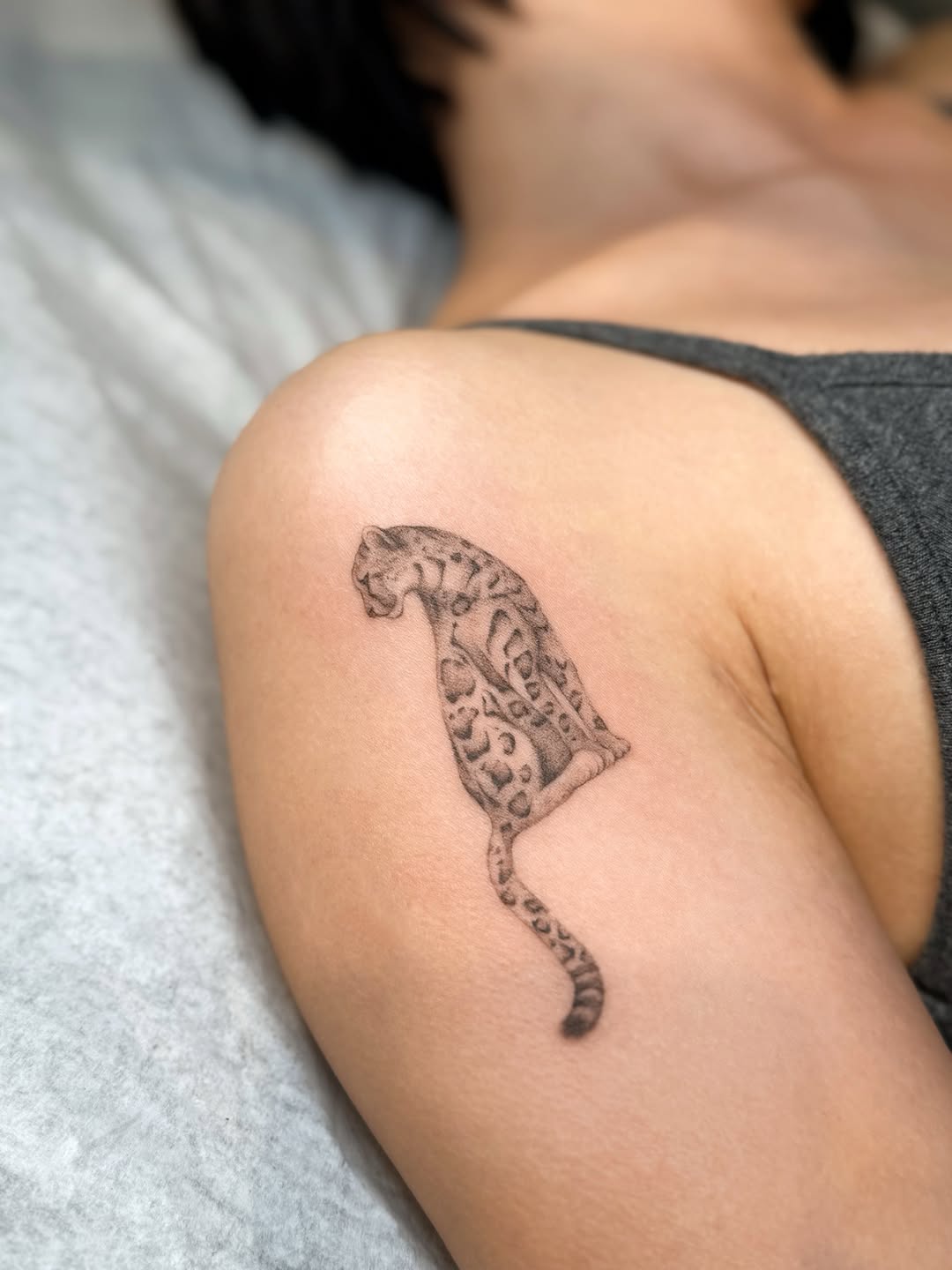 Leopard realism tattoo on the shoulder by 𝕁𝕖𝕞, Richmond, British Columbia