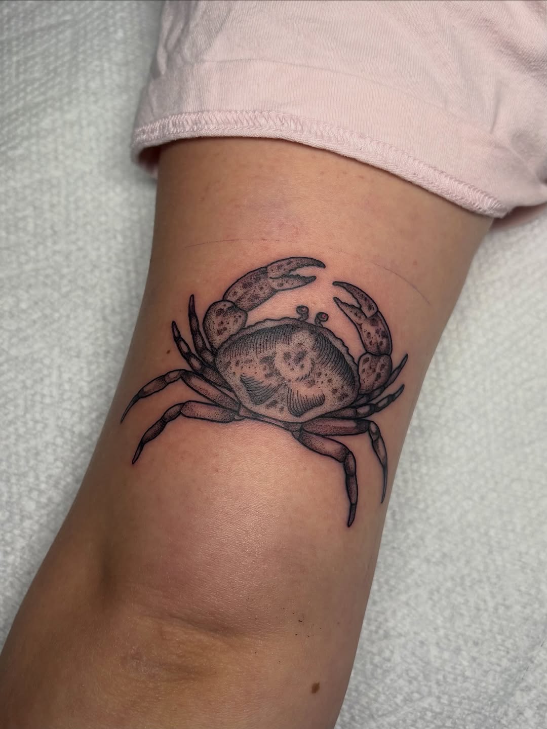 Crab fine line tattoo on the forearm by ⓣⓞⓡⓘ, Bangor, Maine