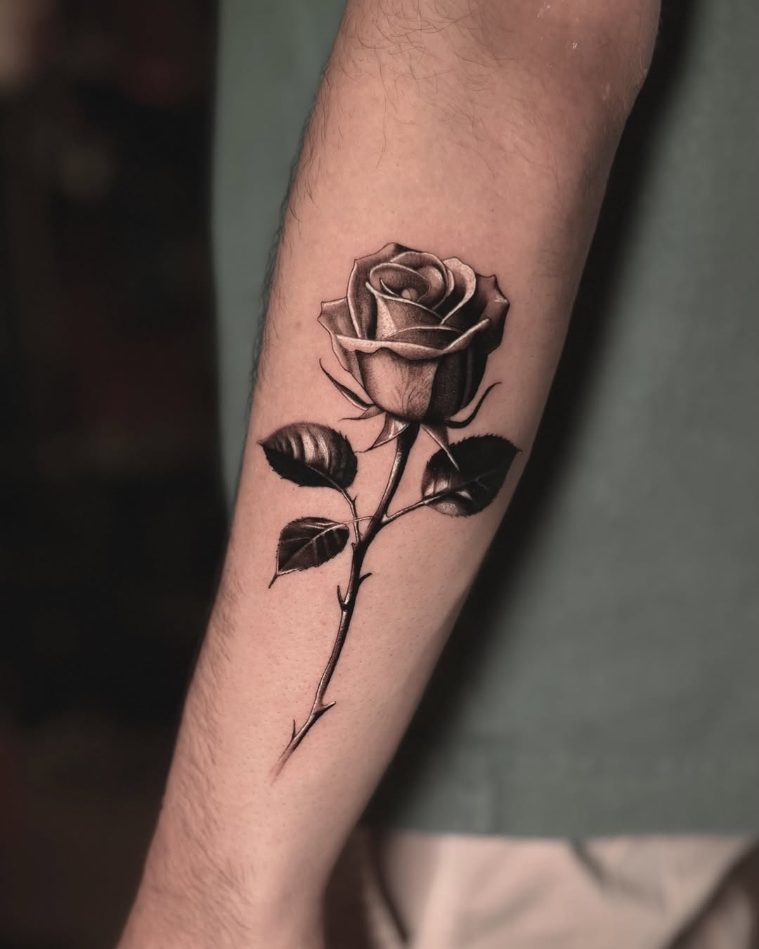 Rose dotwork tattoo on the forearm by ๐
๐๐๐๐ณ๐ฎ๐ฆ๐ข ๐๐๐ญ๐ญ๐จ๐จs