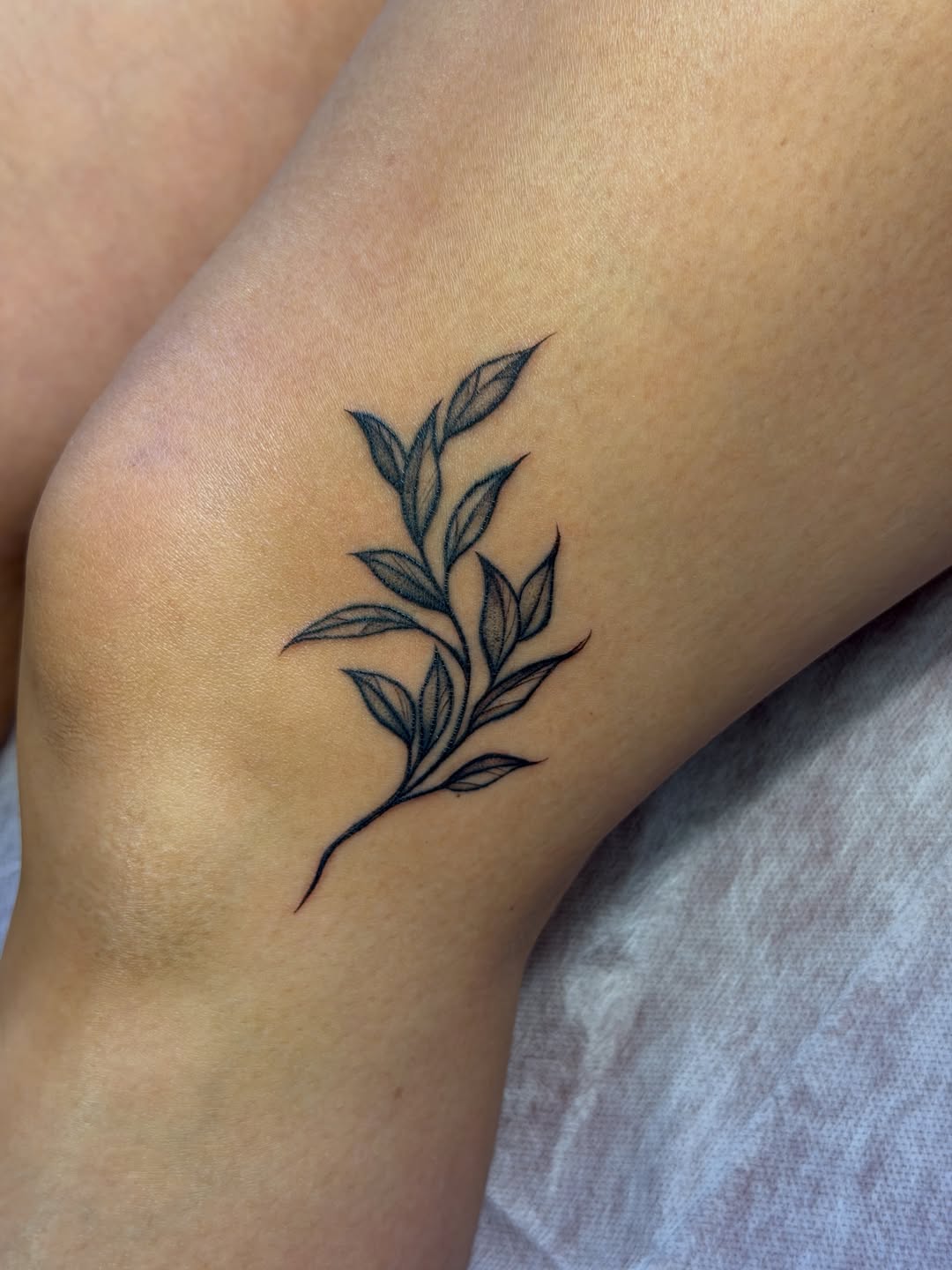 Branch with leaves fine line tattoo on the thigh by Sienna (jj) Hicks