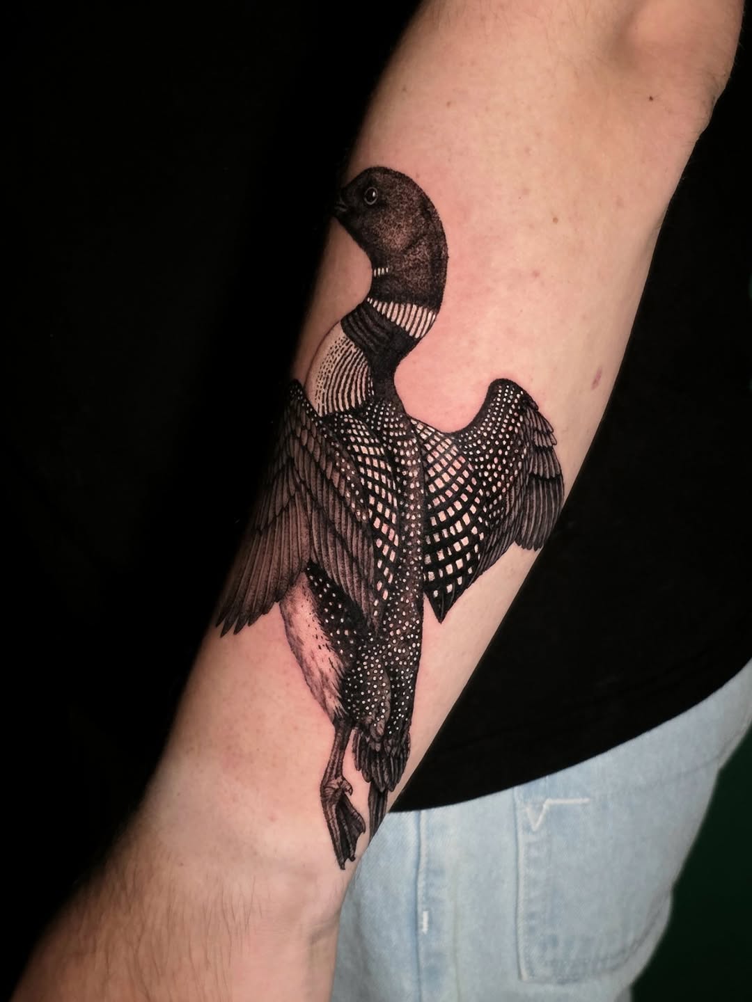Loon bird fine line tattoo on the forearm by Nick de Hoyos