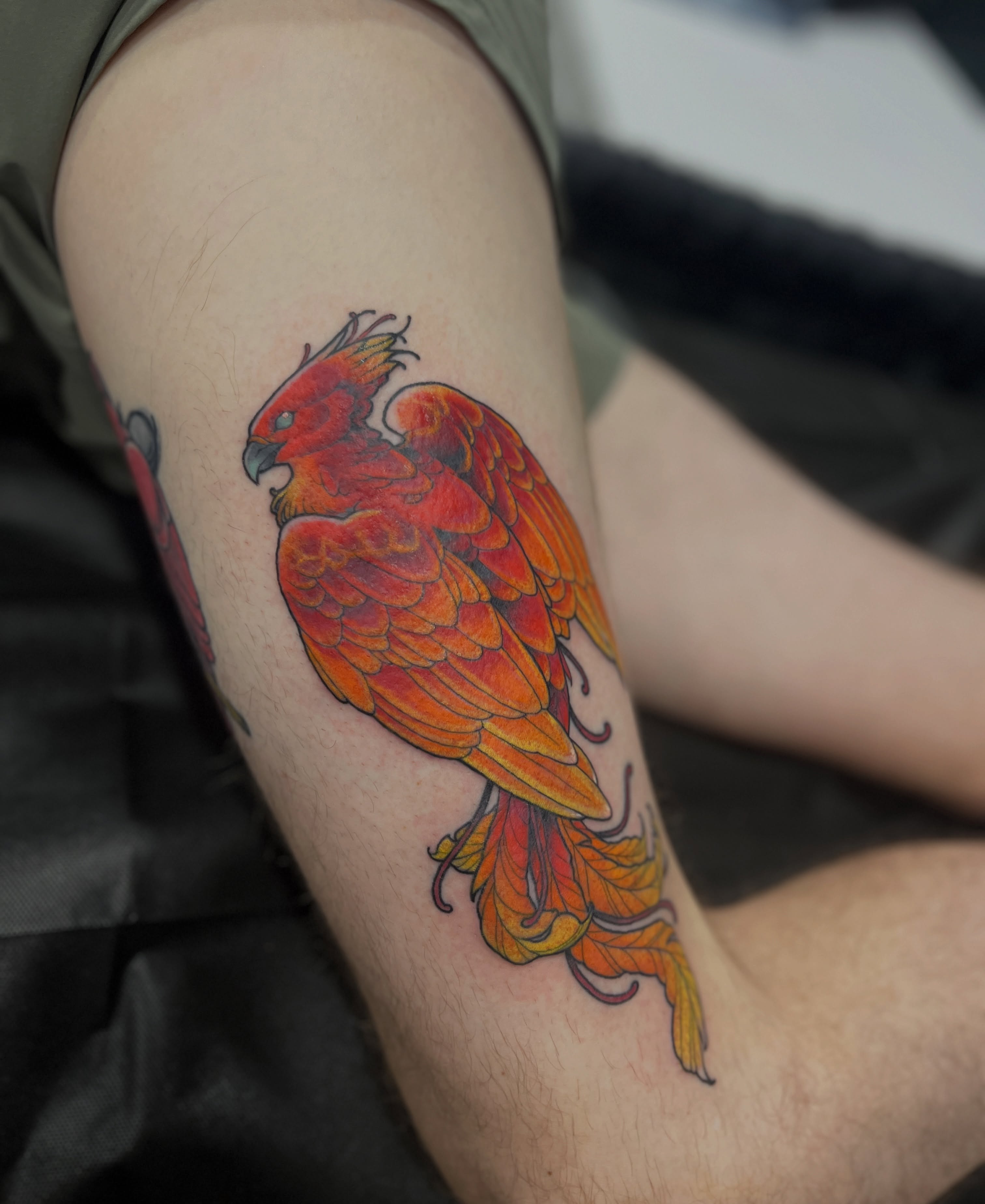 Phoenix American traditional tattoo on the forearm by BELLIE ✧ Tattoo Artist