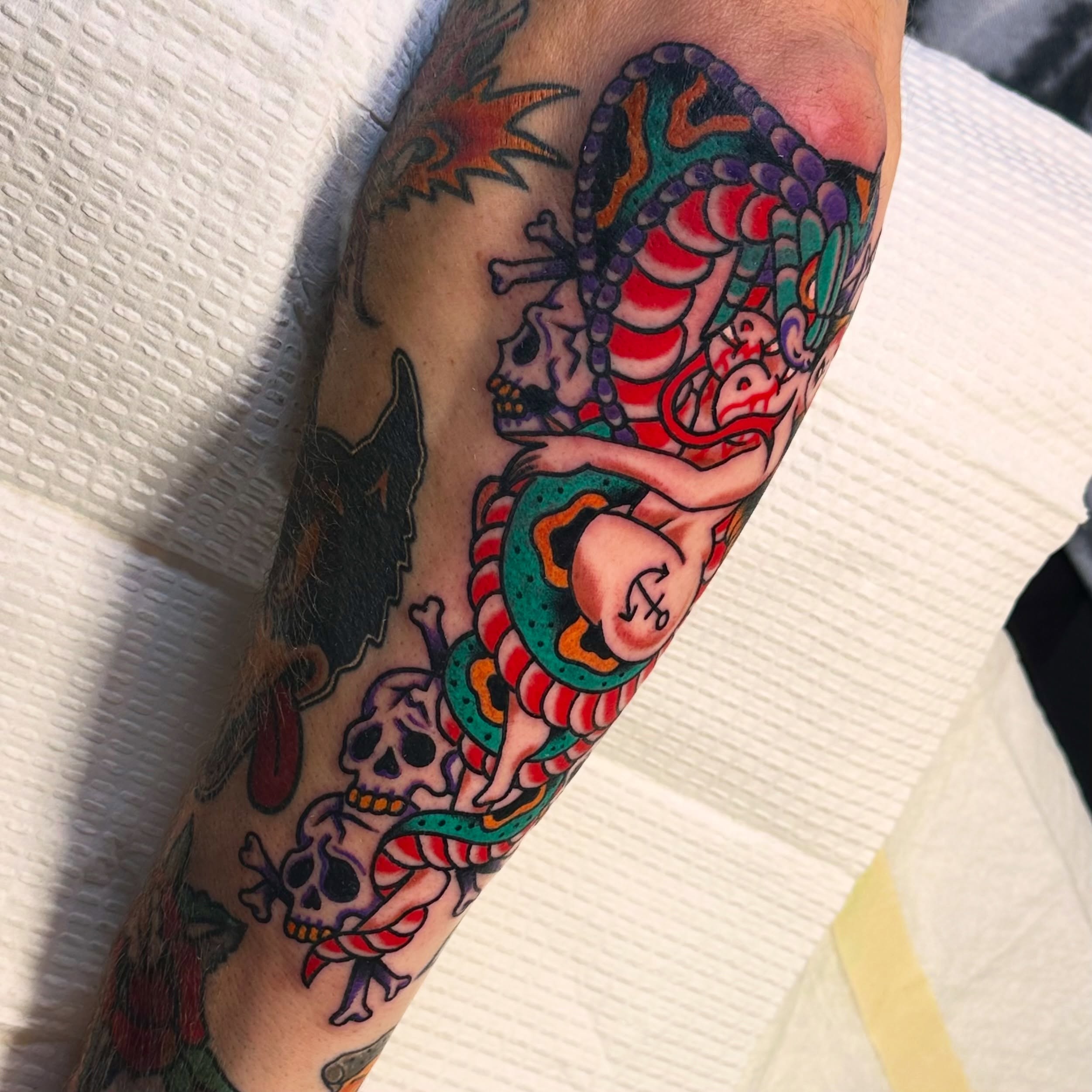 Snake and skull American traditional tattoo on the forearm by Kiki Painmaker Trad Tattooer 🧨