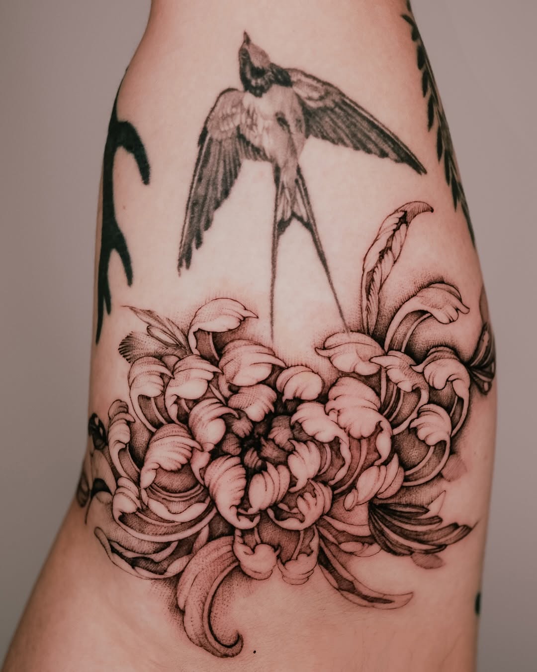 Swallow and chrysanthemum sketch tattoo on the forearm by Esther ✣ Fine Line Floral Tattoo Artist LA, Los Angeles, California