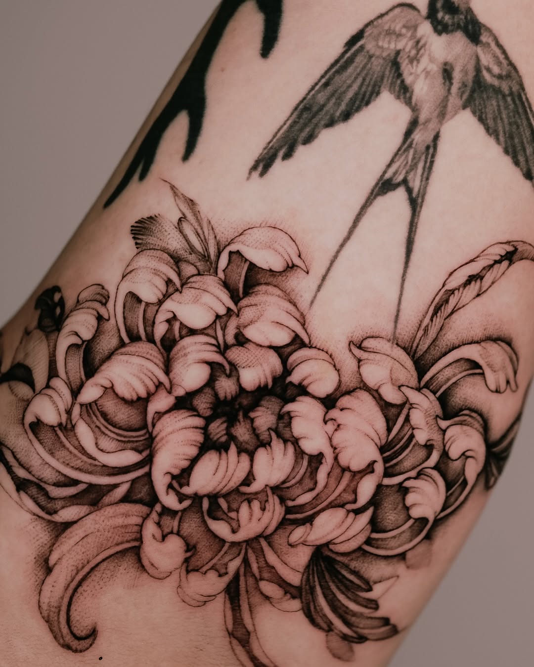 Chrysanthemum and swallow sketch tattoo on the shoulder by Esther ✣ Fine Line Floral Tattoo Artist LA, Los Angeles, California