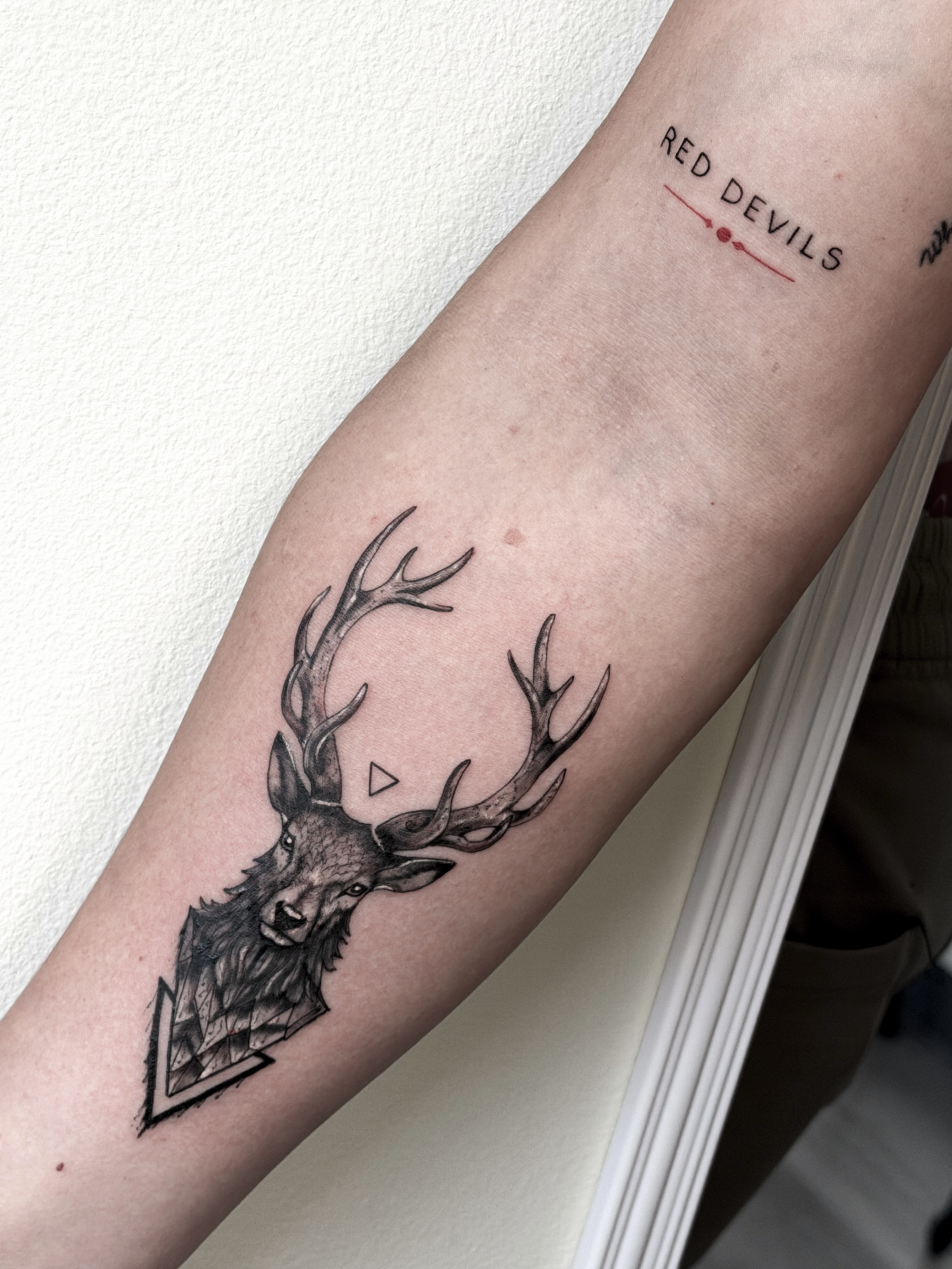Stag head realism tattoo on the forearm by Tatuajes Denver