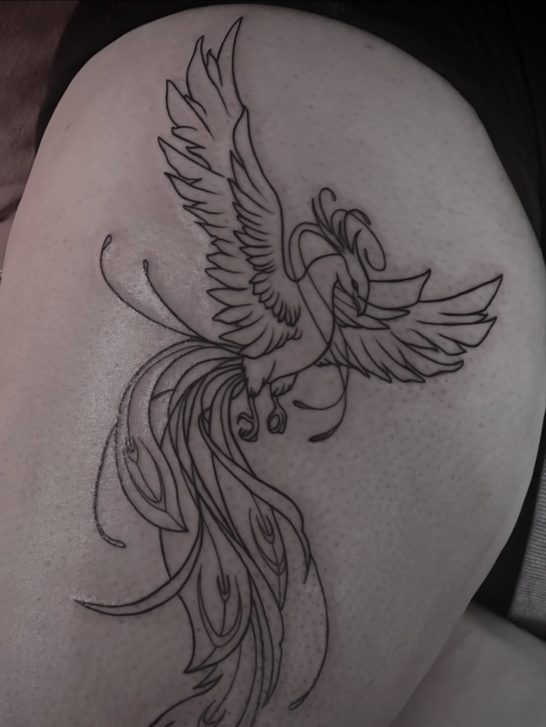 Phoenix watercolor tattoo on the thigh by Stefany🩸