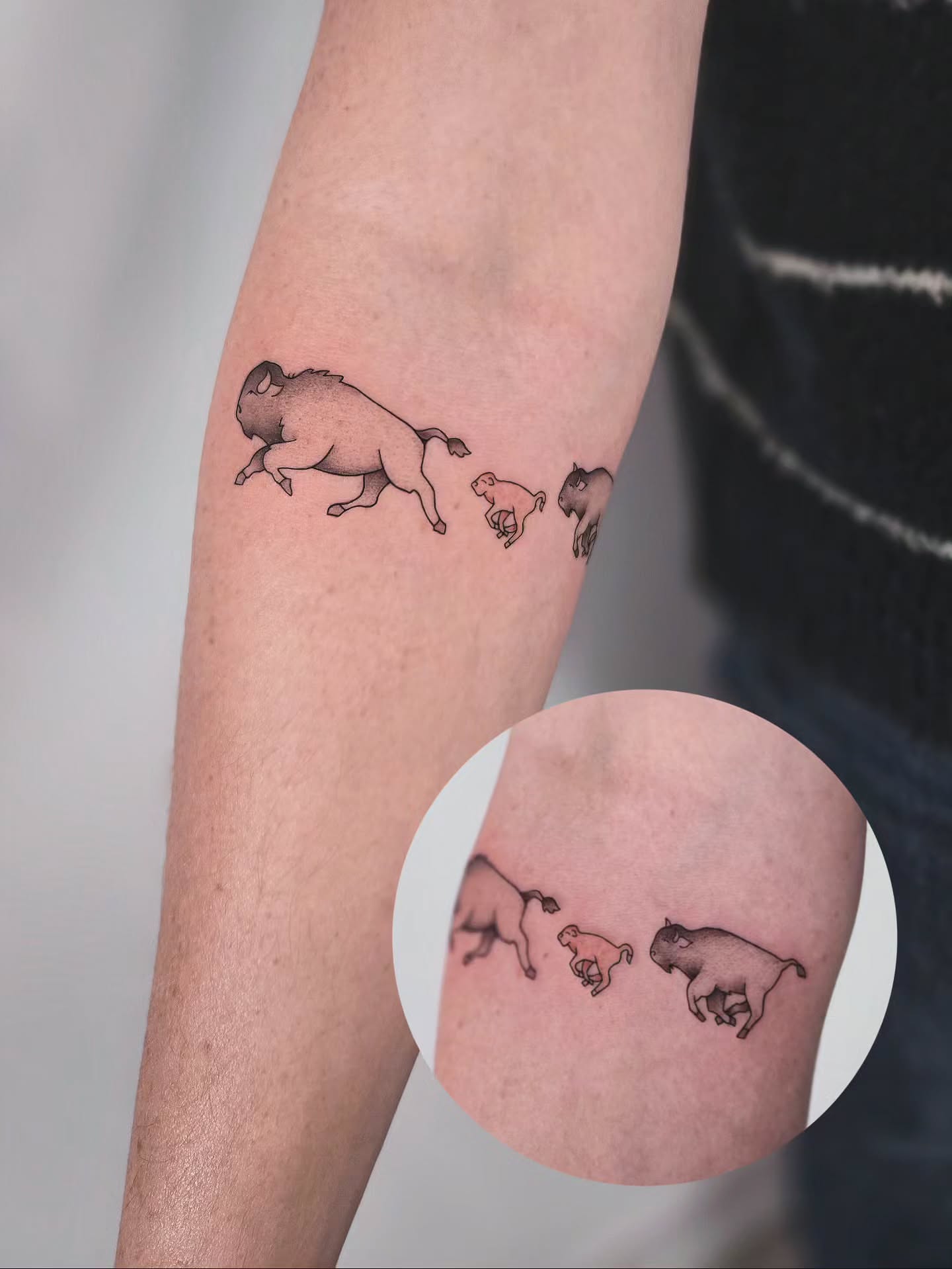 Buffalo family black and grey tattoo on the forearm by Kirstie Lew Tattoo