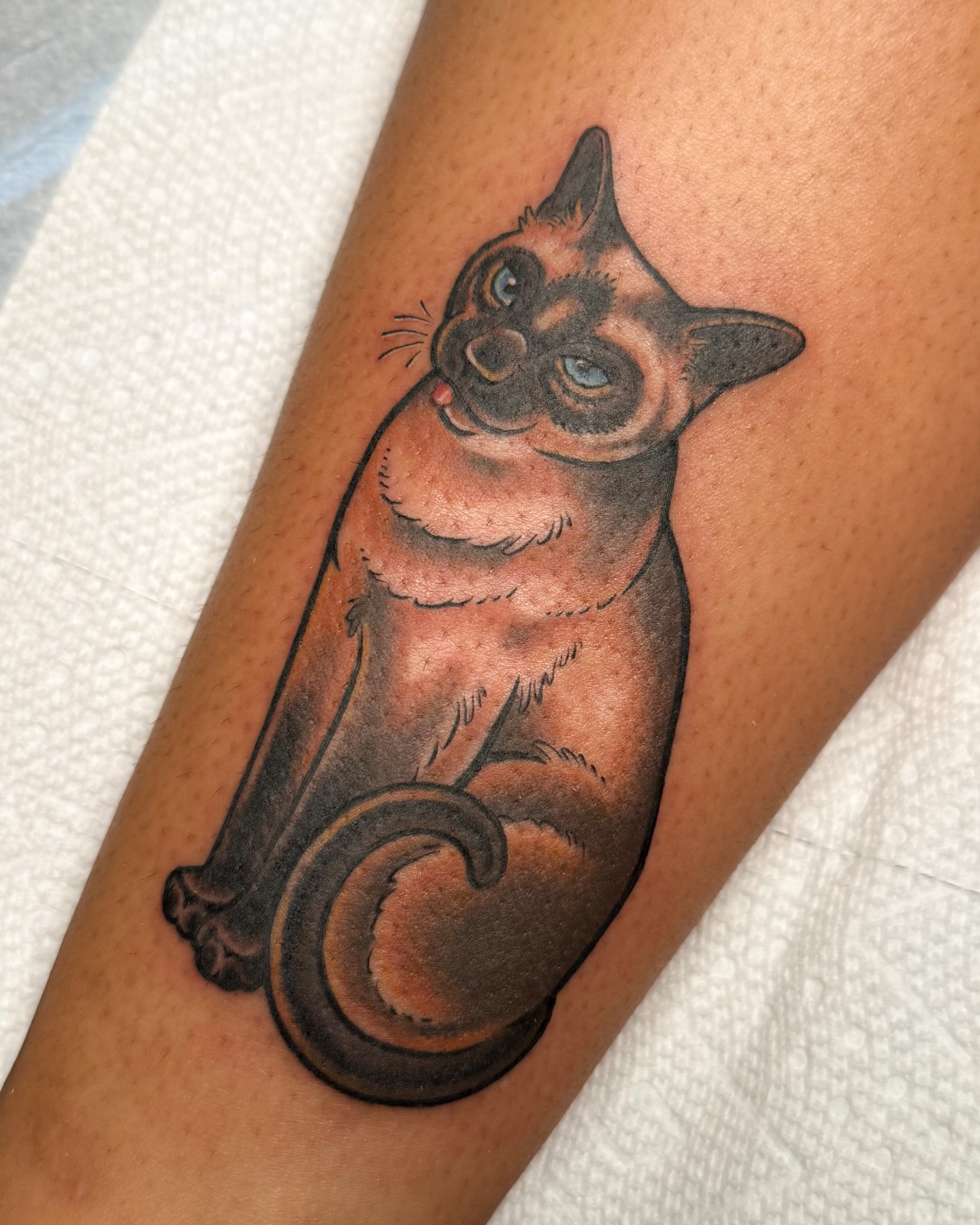 Cat realism tattoo on the forearm by Janine Ramos