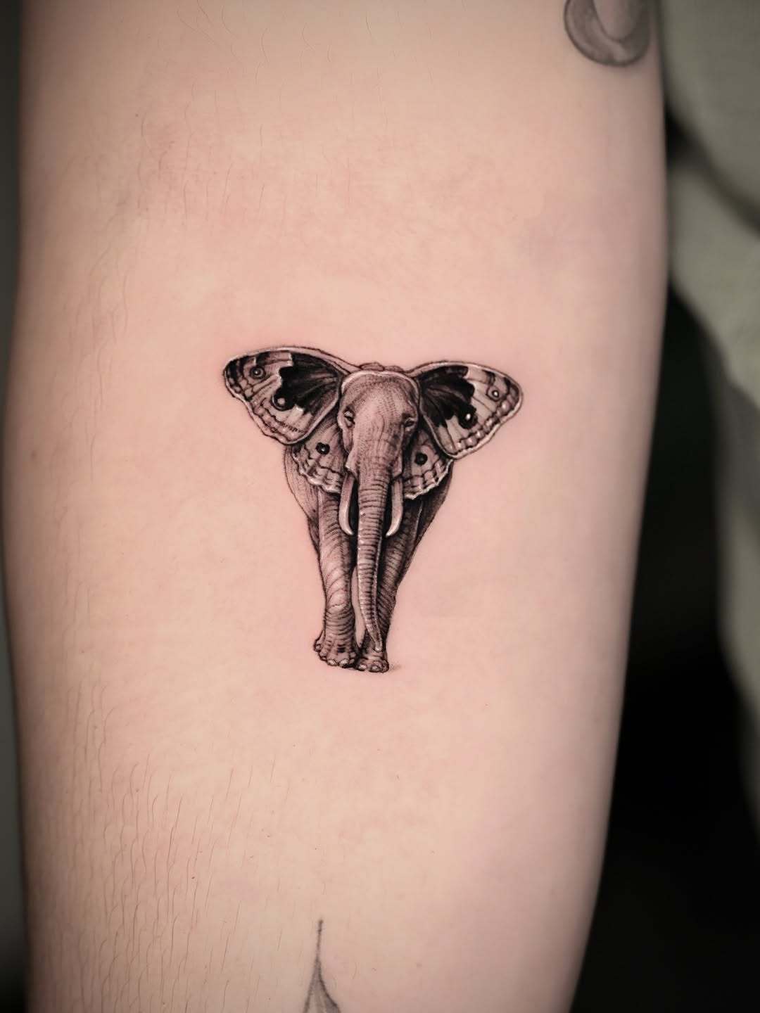 Tattoo by @calvintattoo — black_and_grey, realism