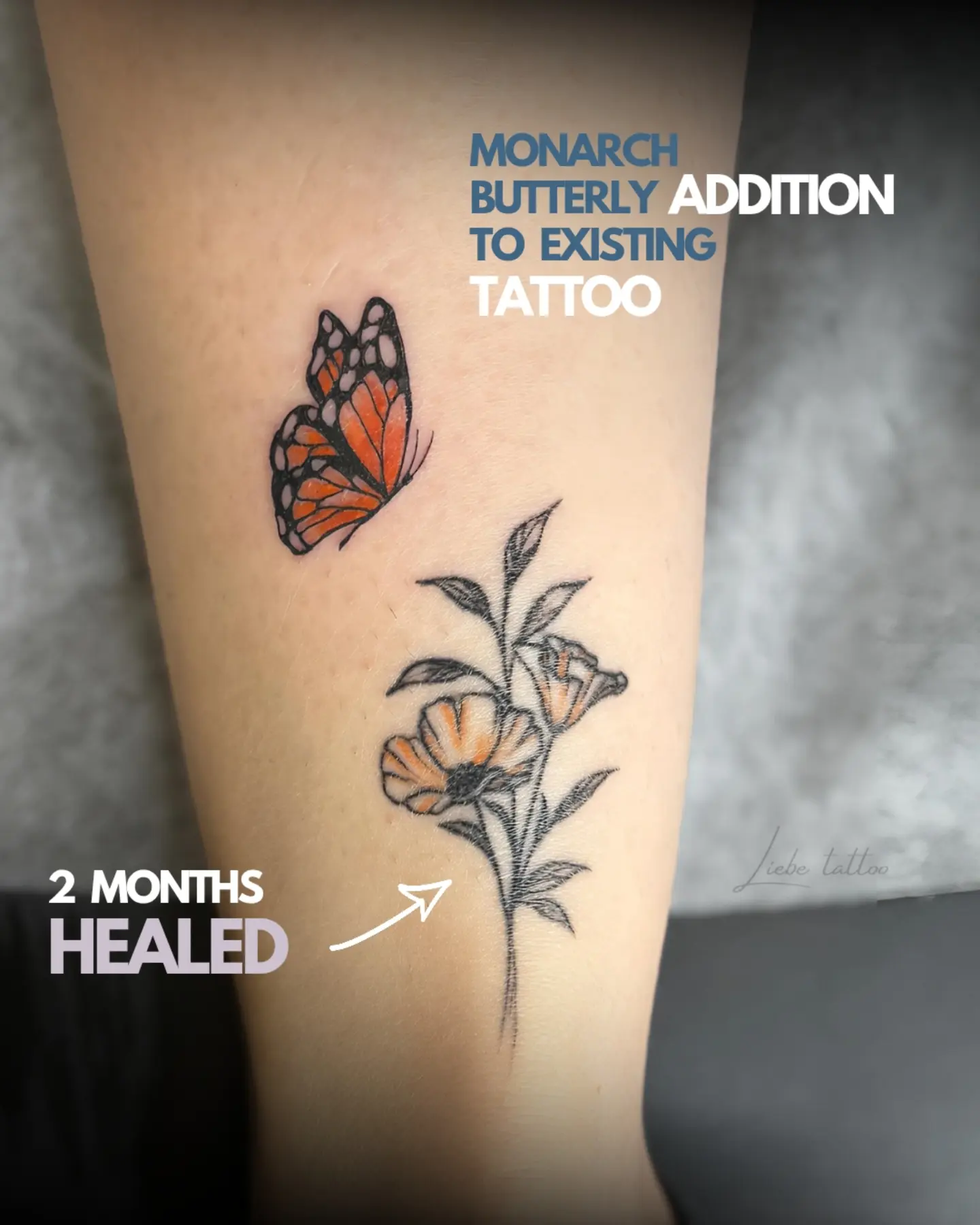 Monarch butterfly addition realism tattoo on the forearm by Floral Fineline Tattoo