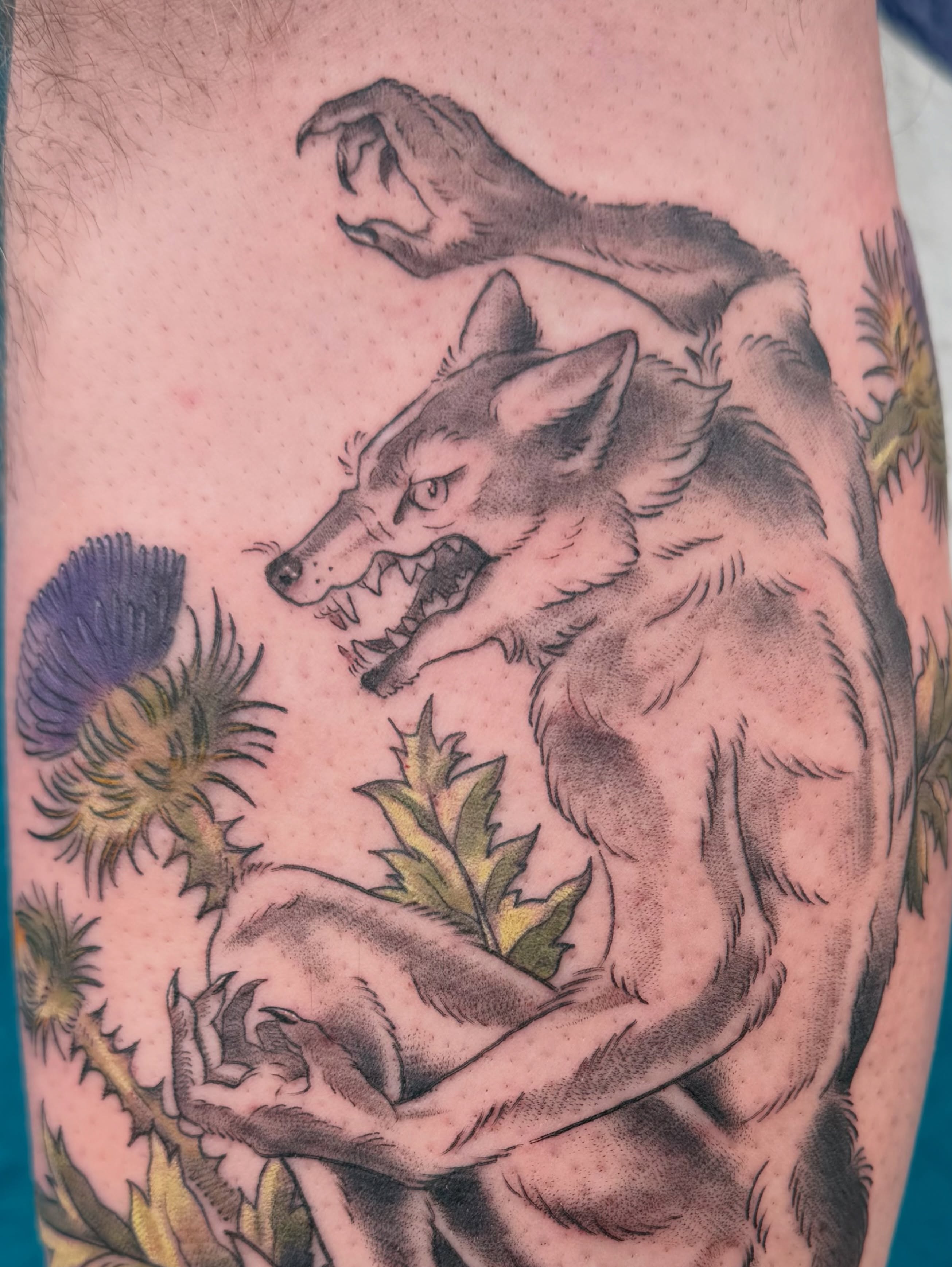 Wolf and thistle realism tattoo on the forearm by Roswell Orellana 👽🛸