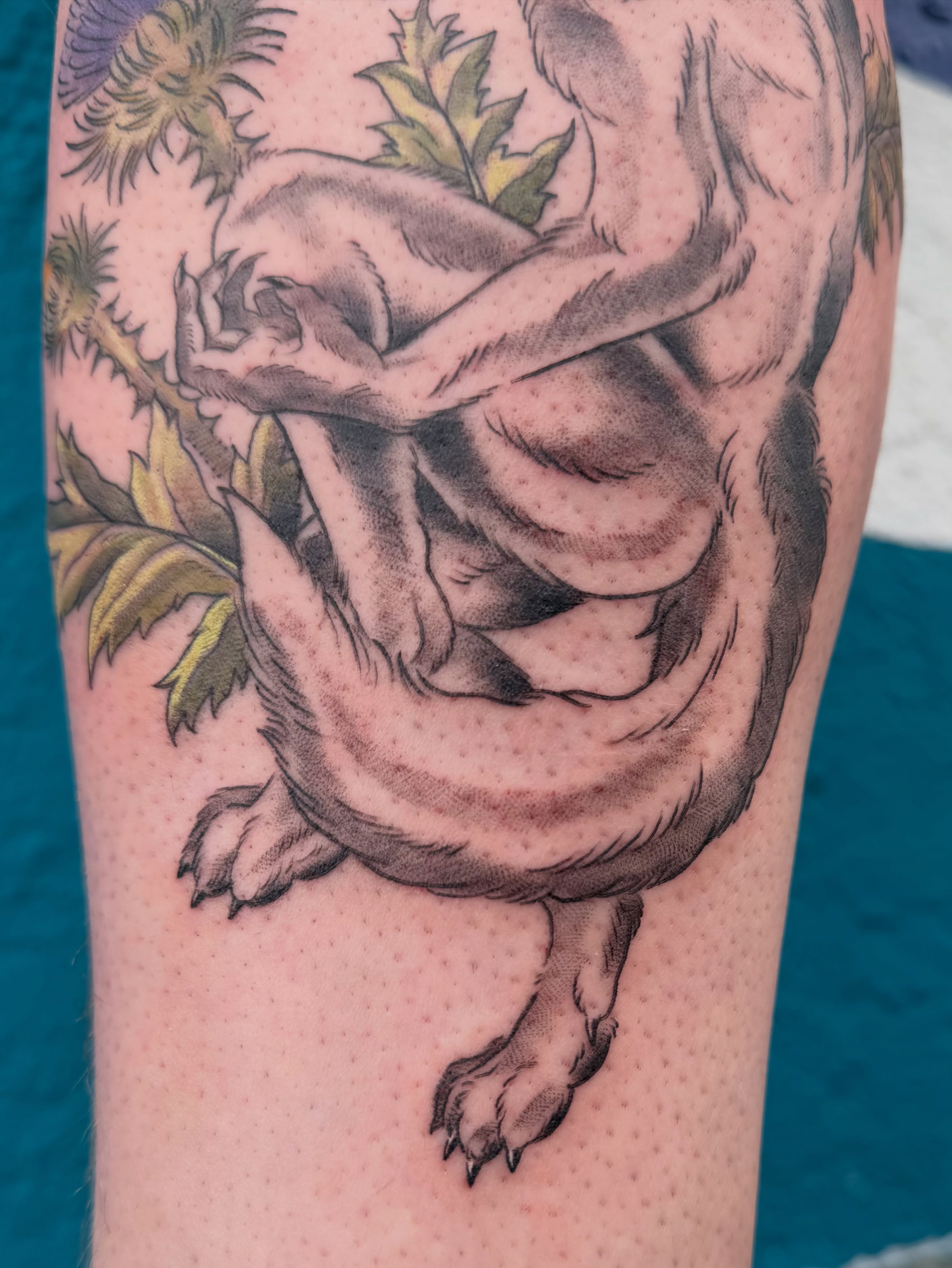 Amphibian realism tattoo on the forearm by Roswell Orellana 👽🛸