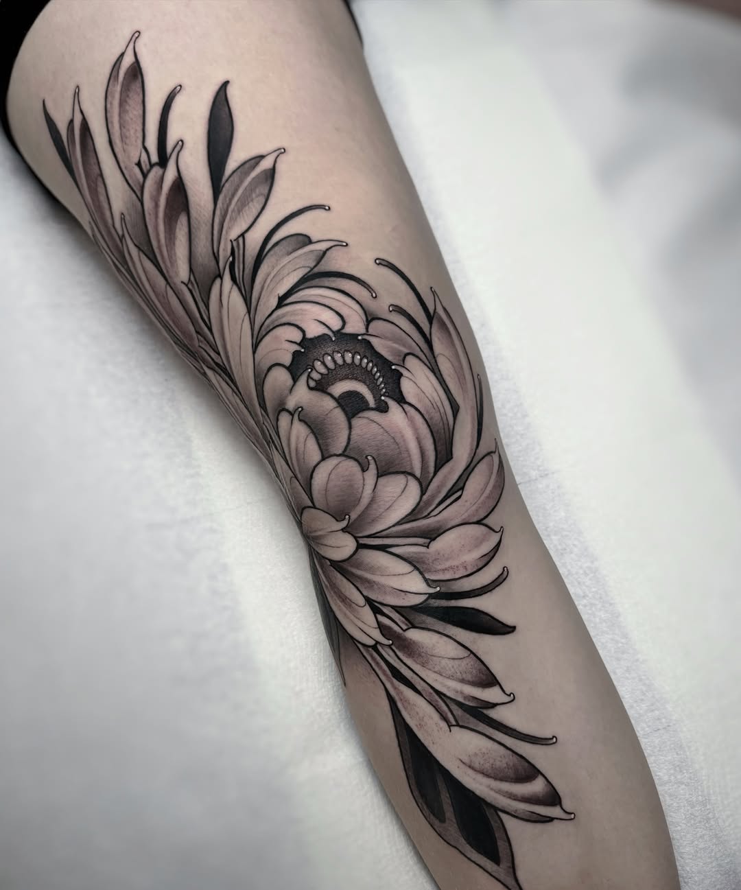 Chrysanthemum flower dotwork tattoo on the forearm by Aitor Arie, Roseville, California