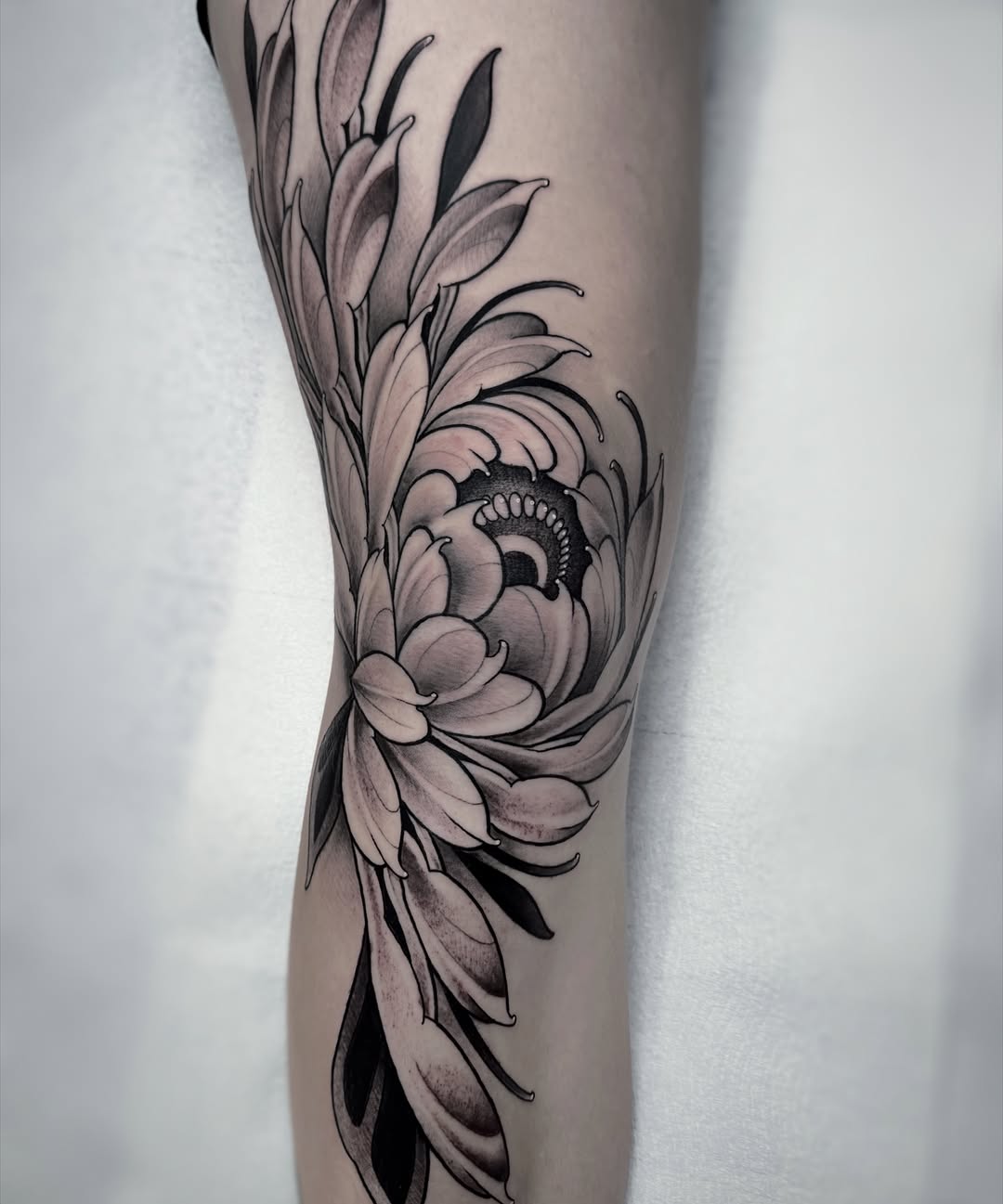 Chrysanthemum flower dotwork tattoo on the forearm by Aitor Arie, Roseville, California