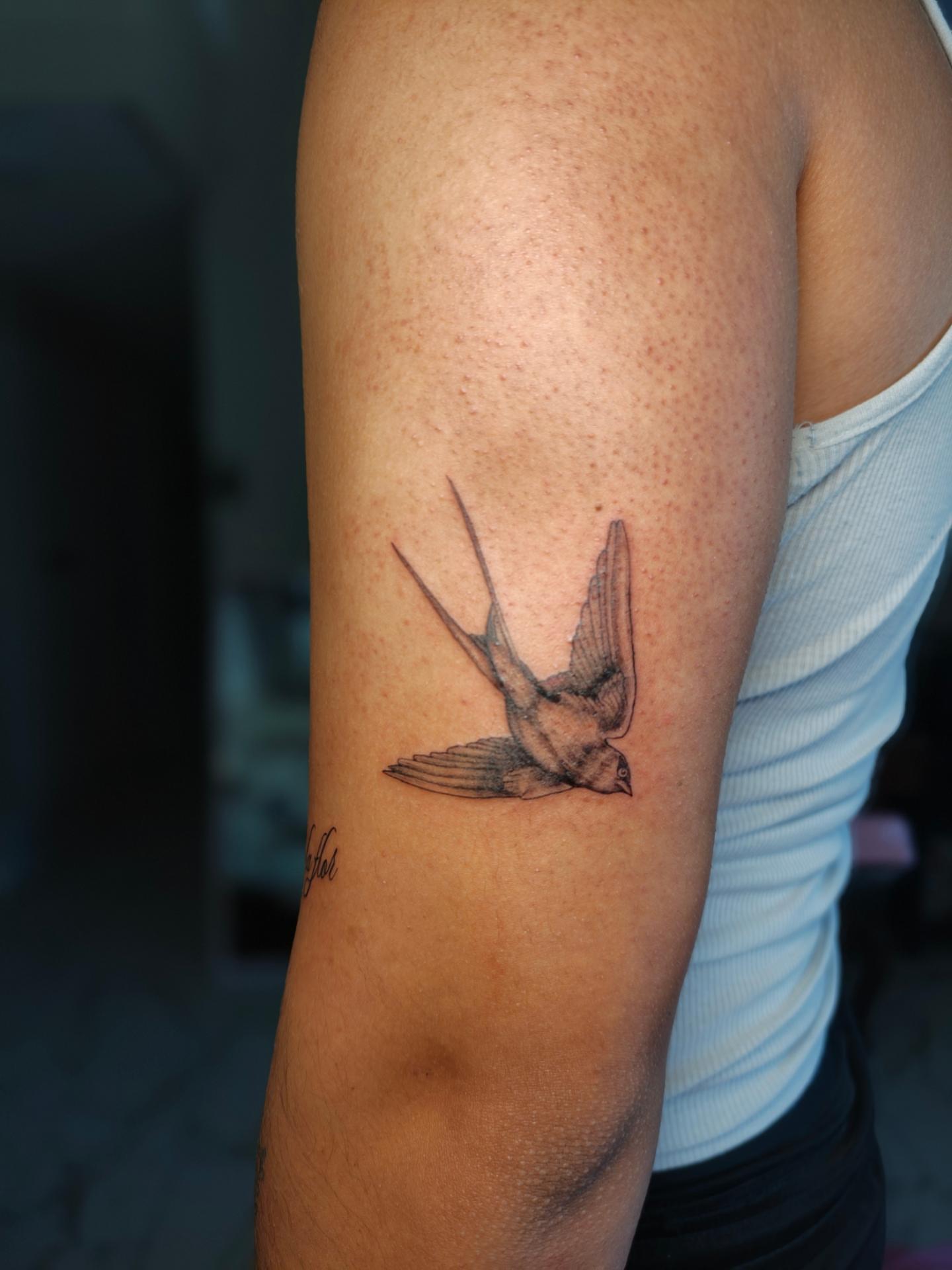 Swallow black and grey tattoo on the forearm by Dani Sandoval, Anaheim, California