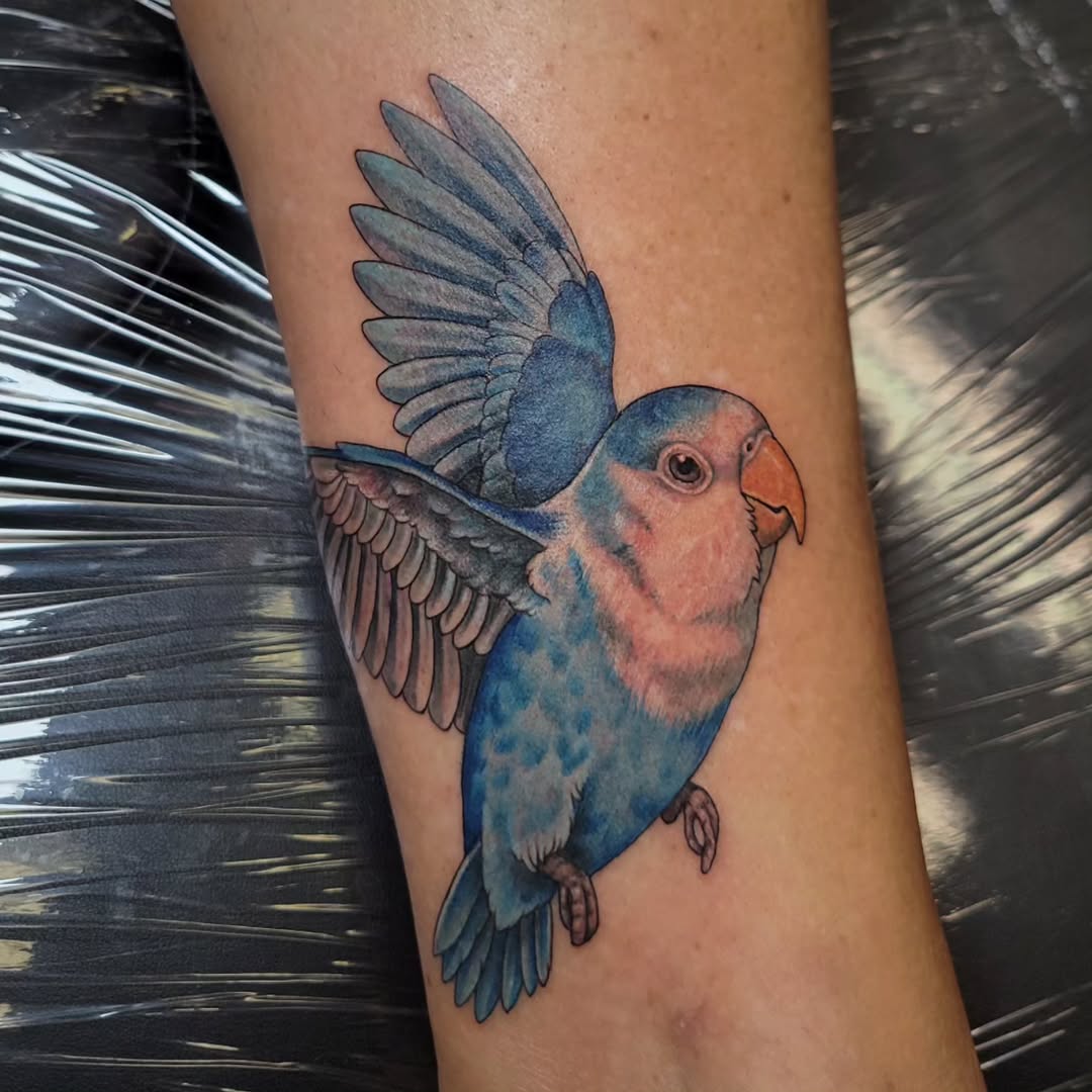 Lovebird watercolor tattoo on the forearm by Marina Cobb