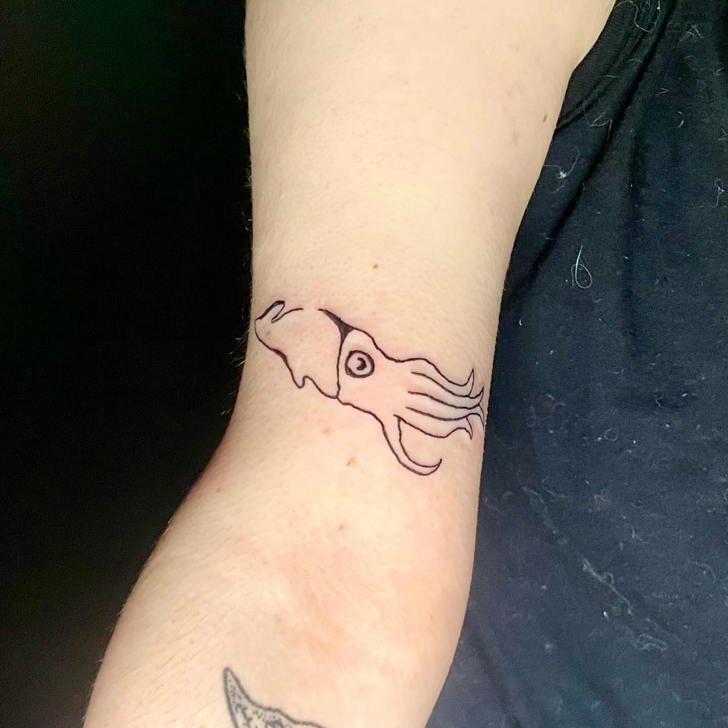 Squid minimalist tattoo on the forearm by ollie, Portland, Oregon