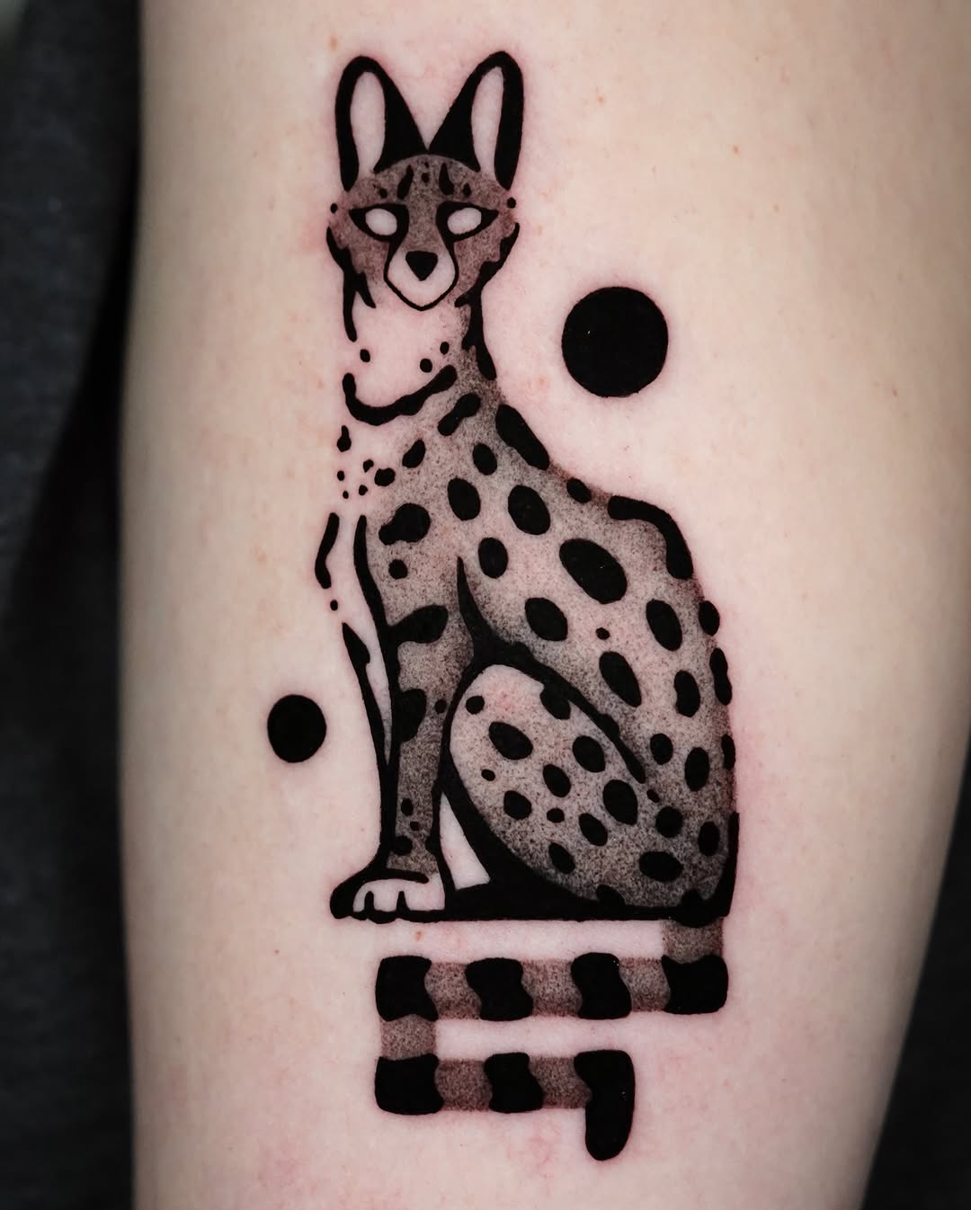 Stylized cat with geometric elements realism tattoo on the forearm by ▫️◽️◻️hunter Hayes◻️◽️▫️