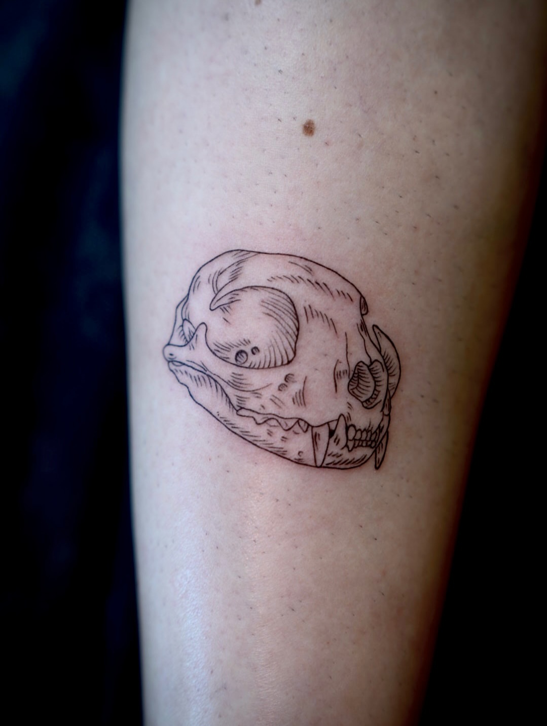 Skull black and grey tattoo on the forearm by 🤍 Sarah 🖤