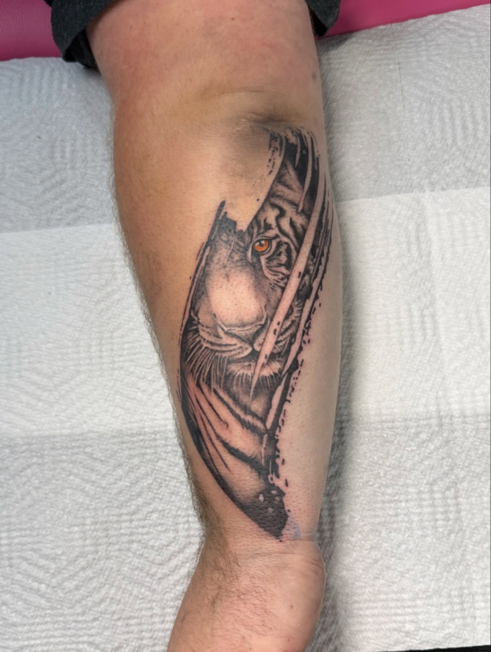 Tiger realism tattoo on the forearm by ✶ teryn ✶, Akron, Ohio