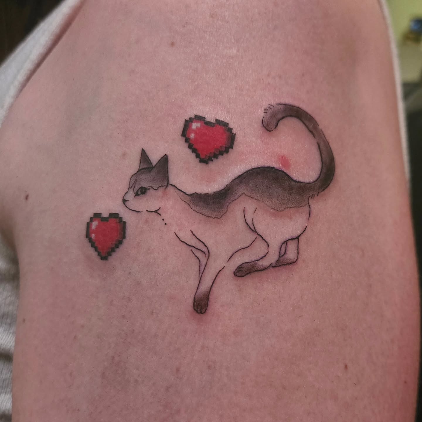 Cat with hearts dotwork tattoo on the upper arm by ݁˖