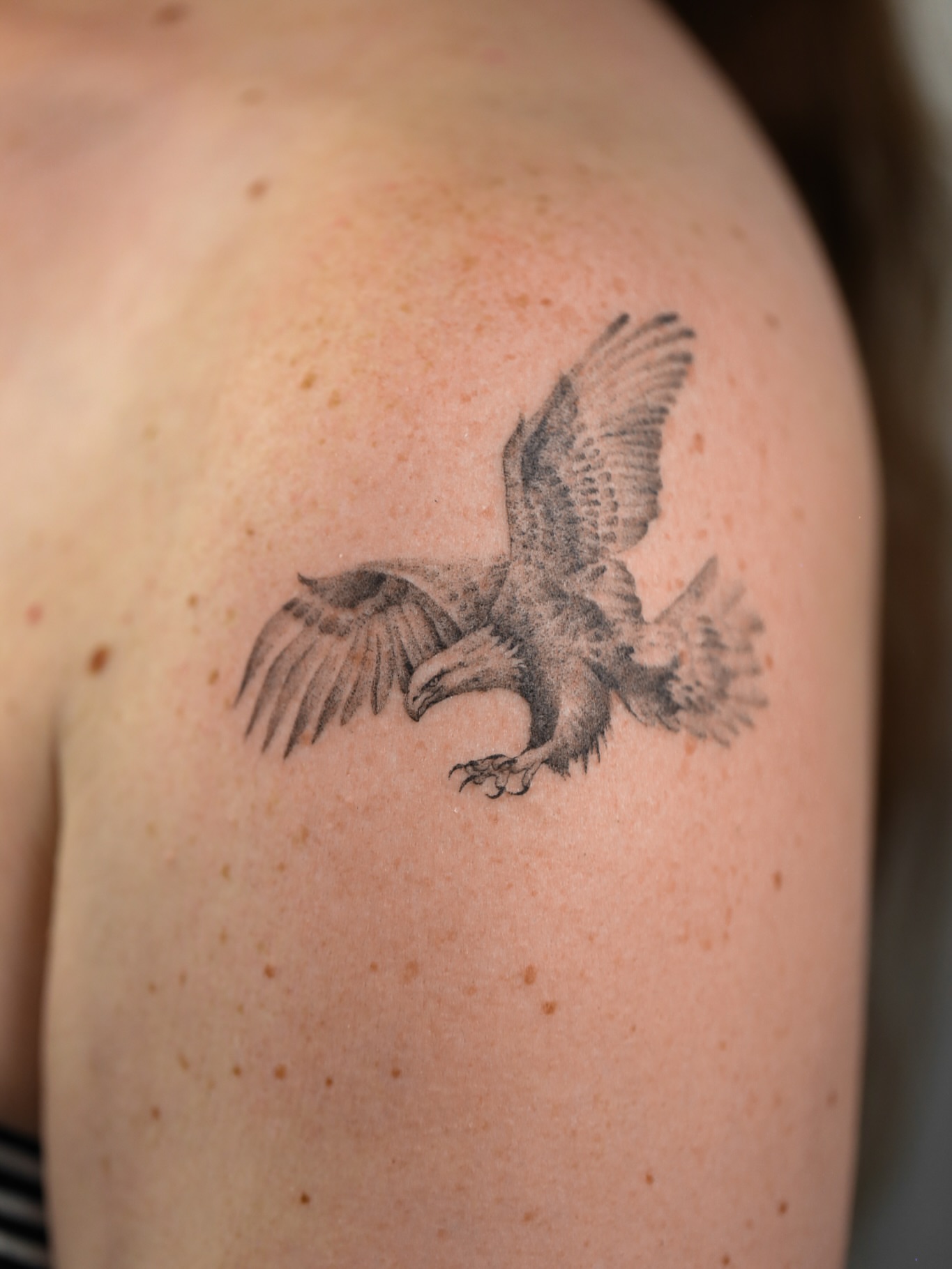 Eagle realism tattoo on the shoulder by Inna Petrova, Kitchener, Ontario