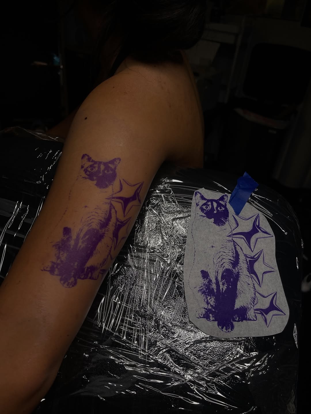 Cat and stars tattoo on the upper arm by clarissa