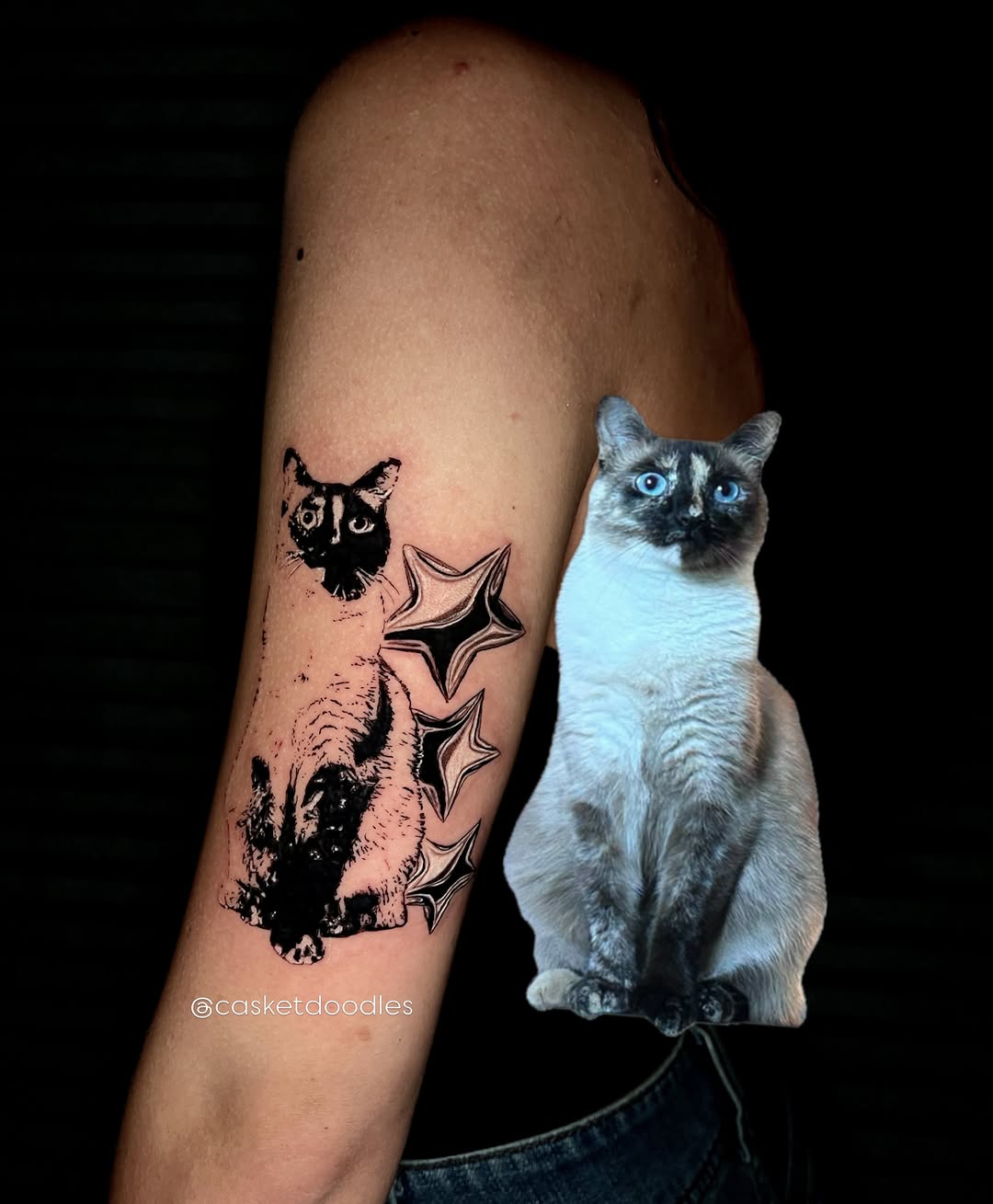 Siamese cat and stars realism tattoo on the forearm by clarissa