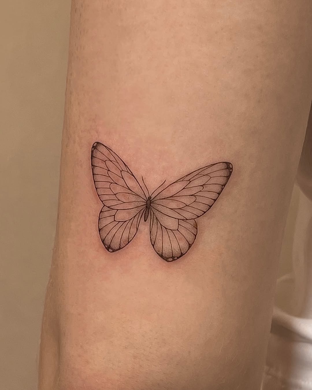 Tattoo by @tattooist_hyn — fine_line, black_and_grey