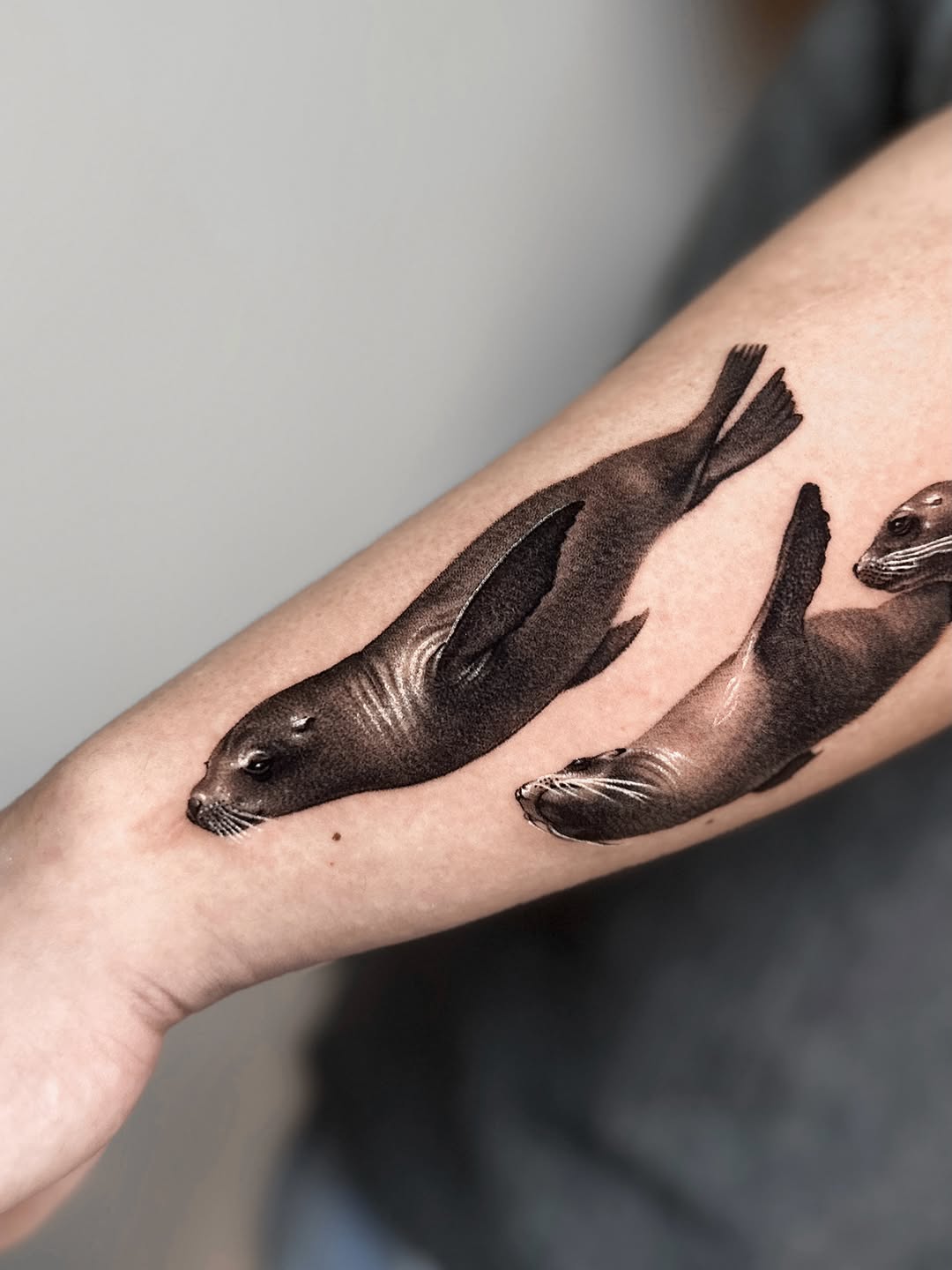 Seals swimming fine line tattoo on the forearm by Saru