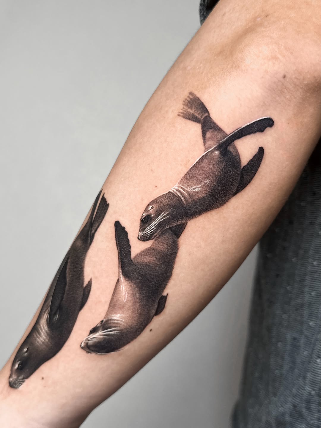 Three seals swimming fine line tattoo on the forearm by Saru