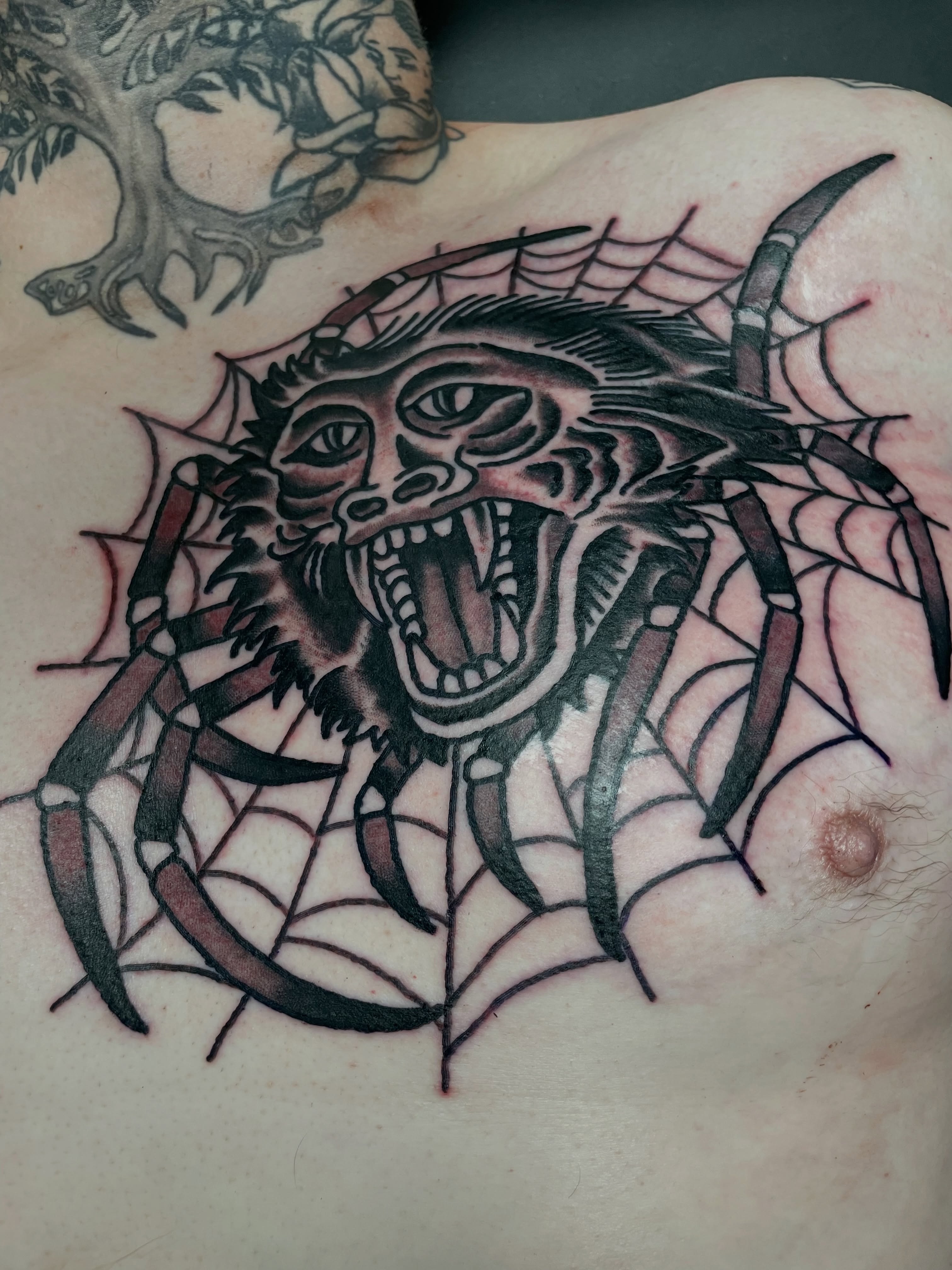 Spider American traditional tattoo on the chest by @pizzabref