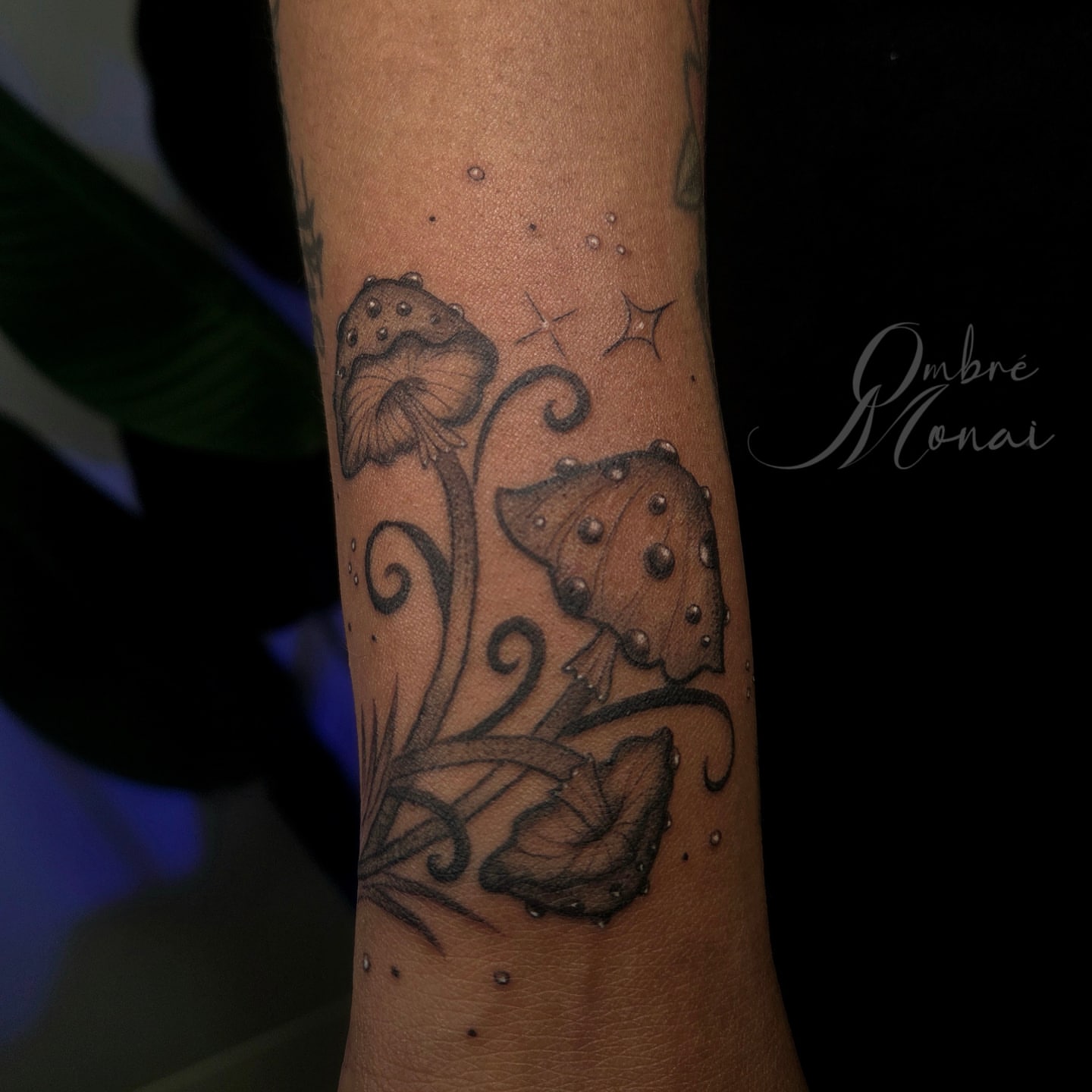 Tattoo by @ombre.monai — dotwork, black_and_grey