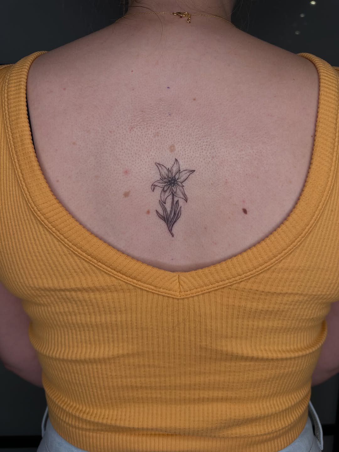 Tattoo by @allhailtattoos_ — fine_line