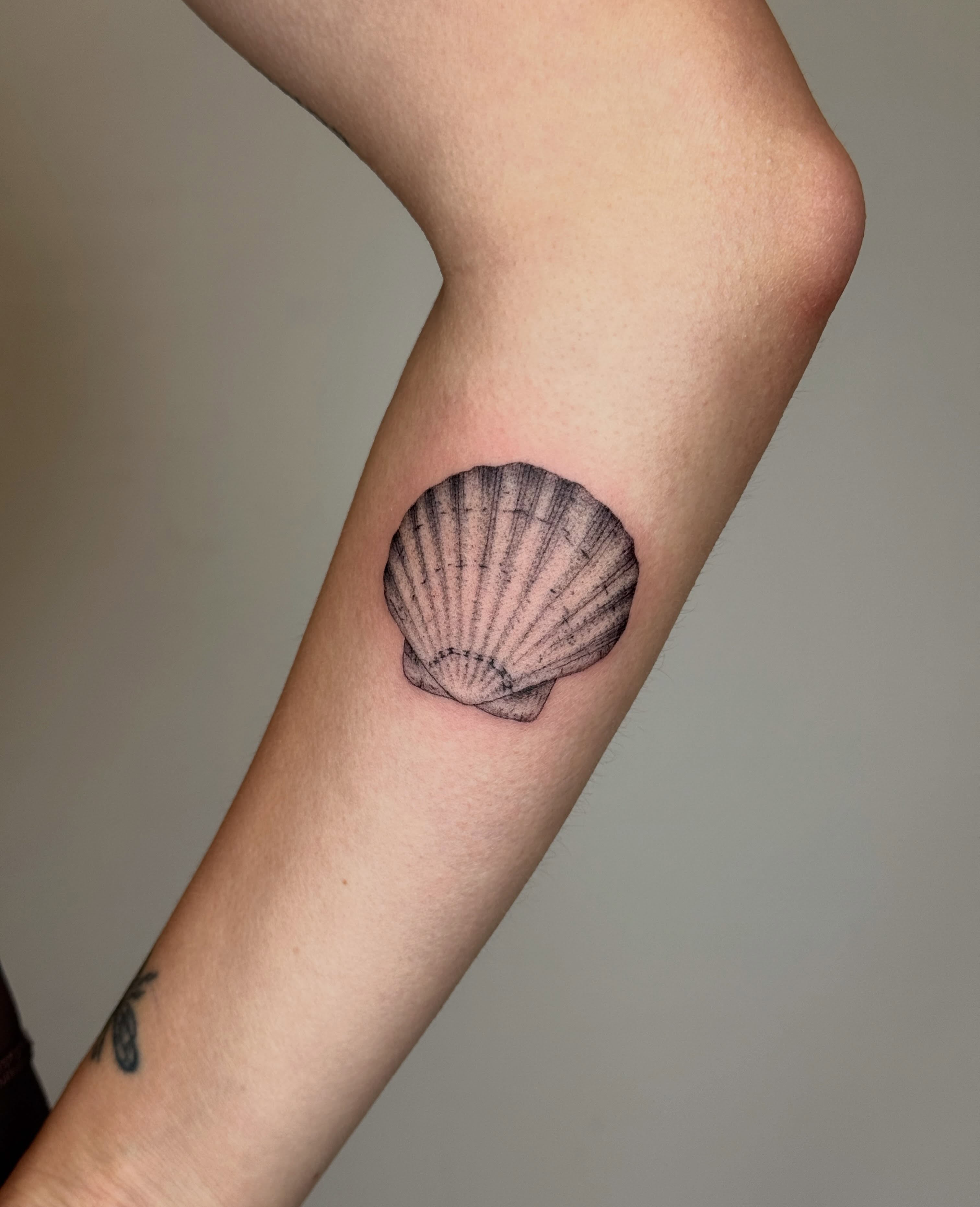 Shell black and grey tattoo on the forearm by Monica Reynolds
