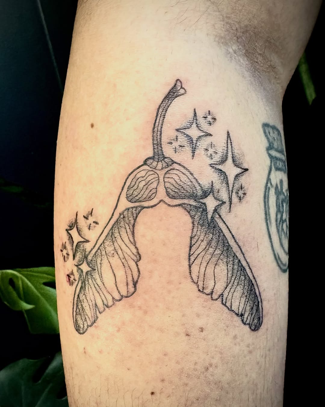 Tattoo by @abbyruoktattoo — fine_line, black_and_grey