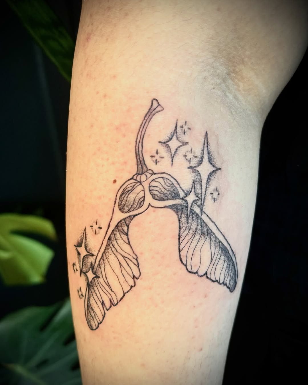 Tattoo by @abbyruoktattoo — fine_line, dotwork