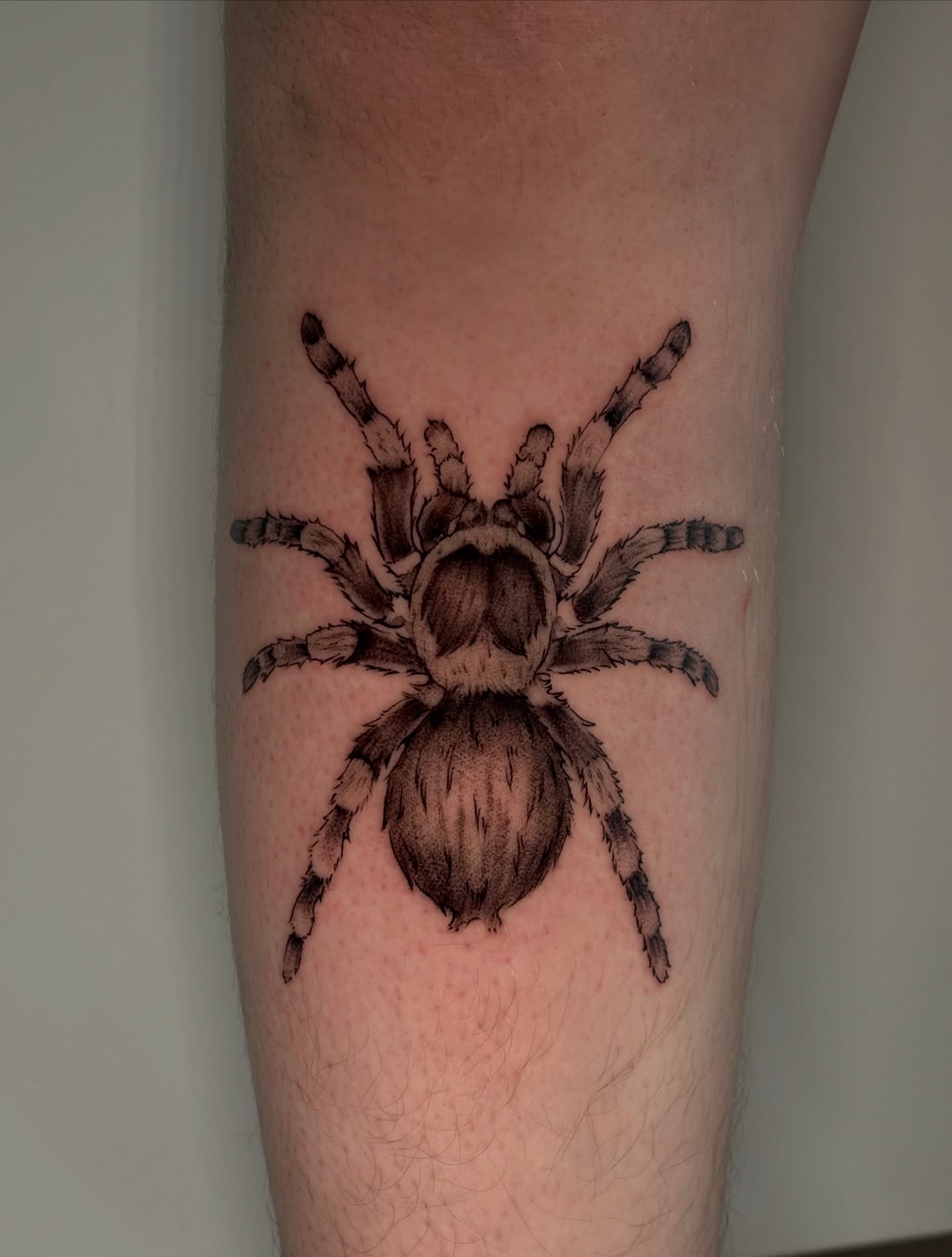Spider black and grey tattoo on the forearm by Chloe Shay
