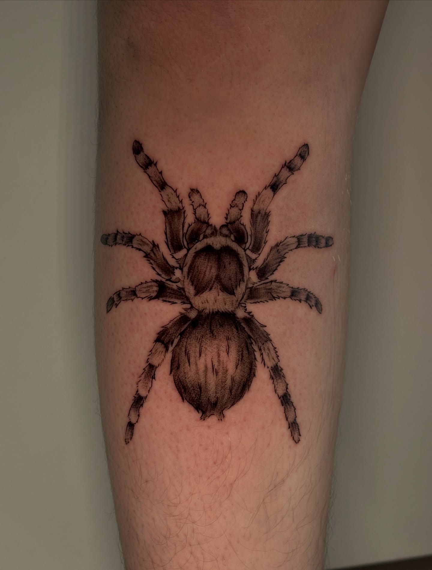 Tarantula realism tattoo on the forearm by Chloe Shay