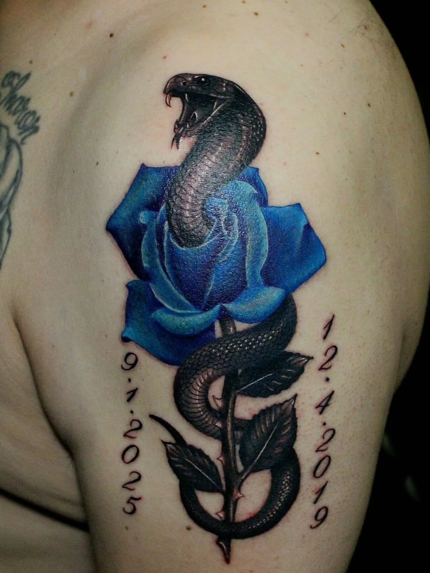 Snake and blue rose realism tattoo on the shoulder by Joey Vinci, Phoenix, Arizona
