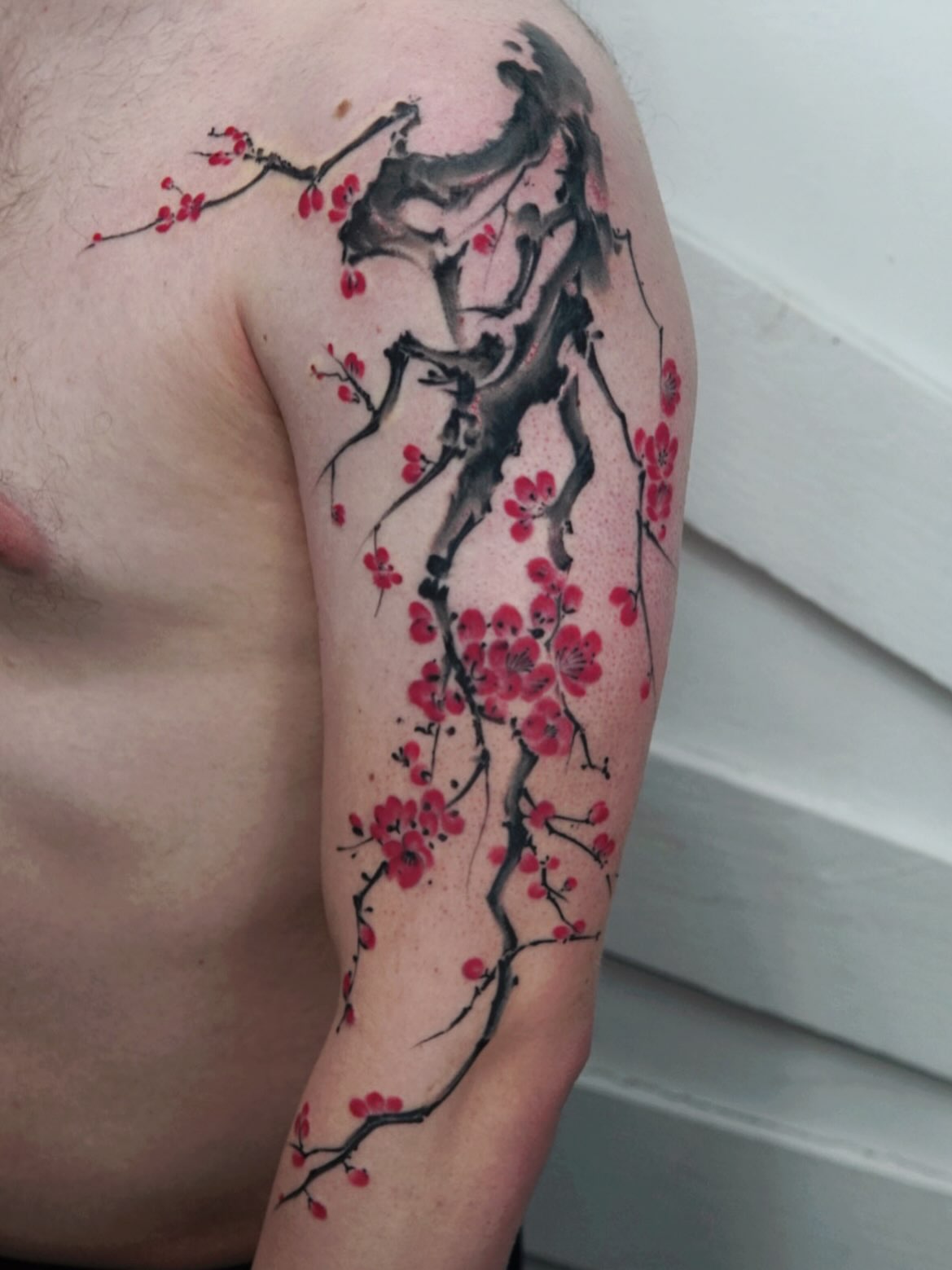 Cherry blossom tree watercolor tattoo on the upper arm by ๐๐๐๐ ๐๐๐๐๐๐ ๐๐๐๐๐