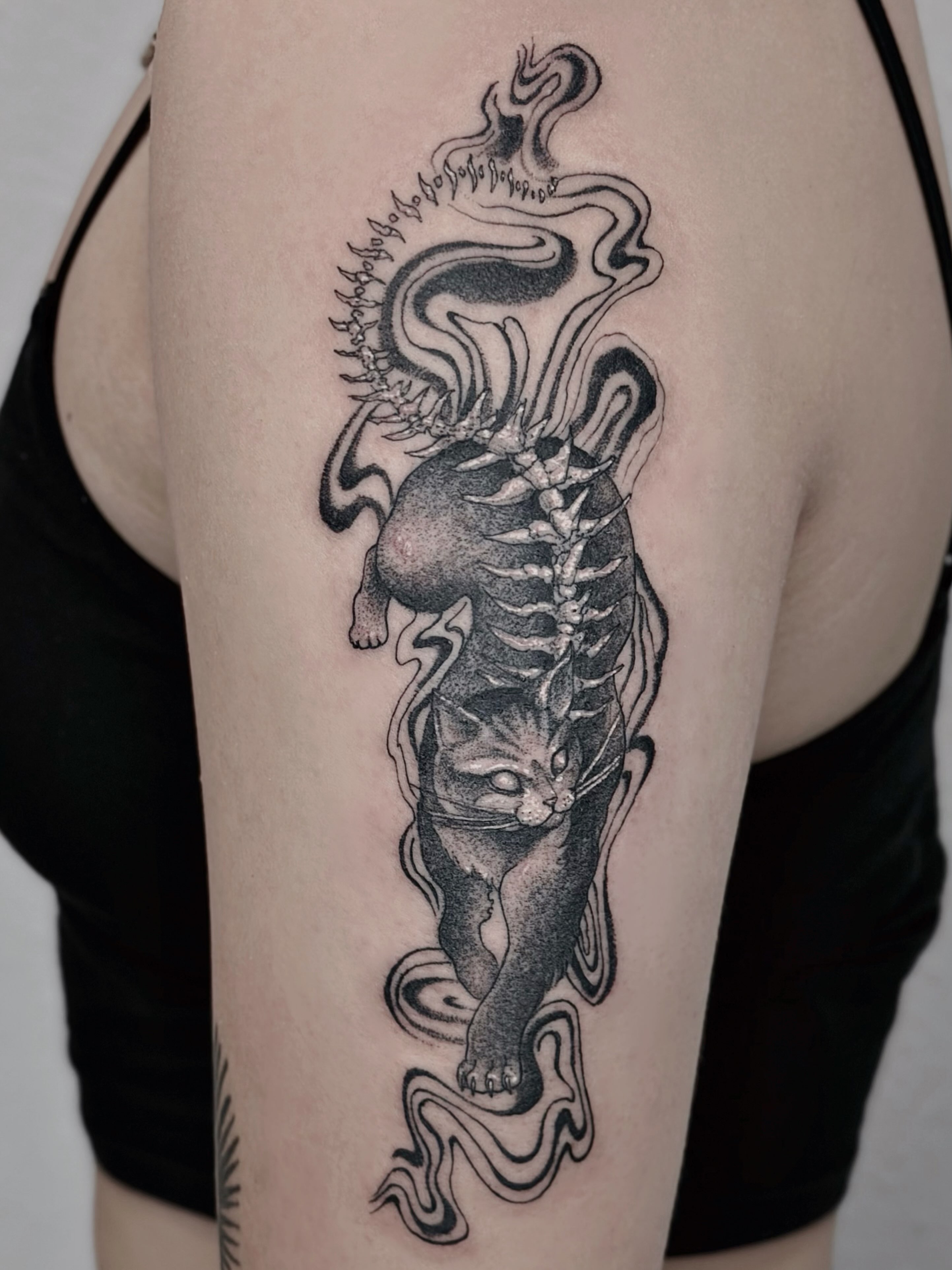 Cat skeleton realism tattoo on the thigh by ๐๐๐๐ ๐๐๐๐๐๐ ๐๐๐๐๐