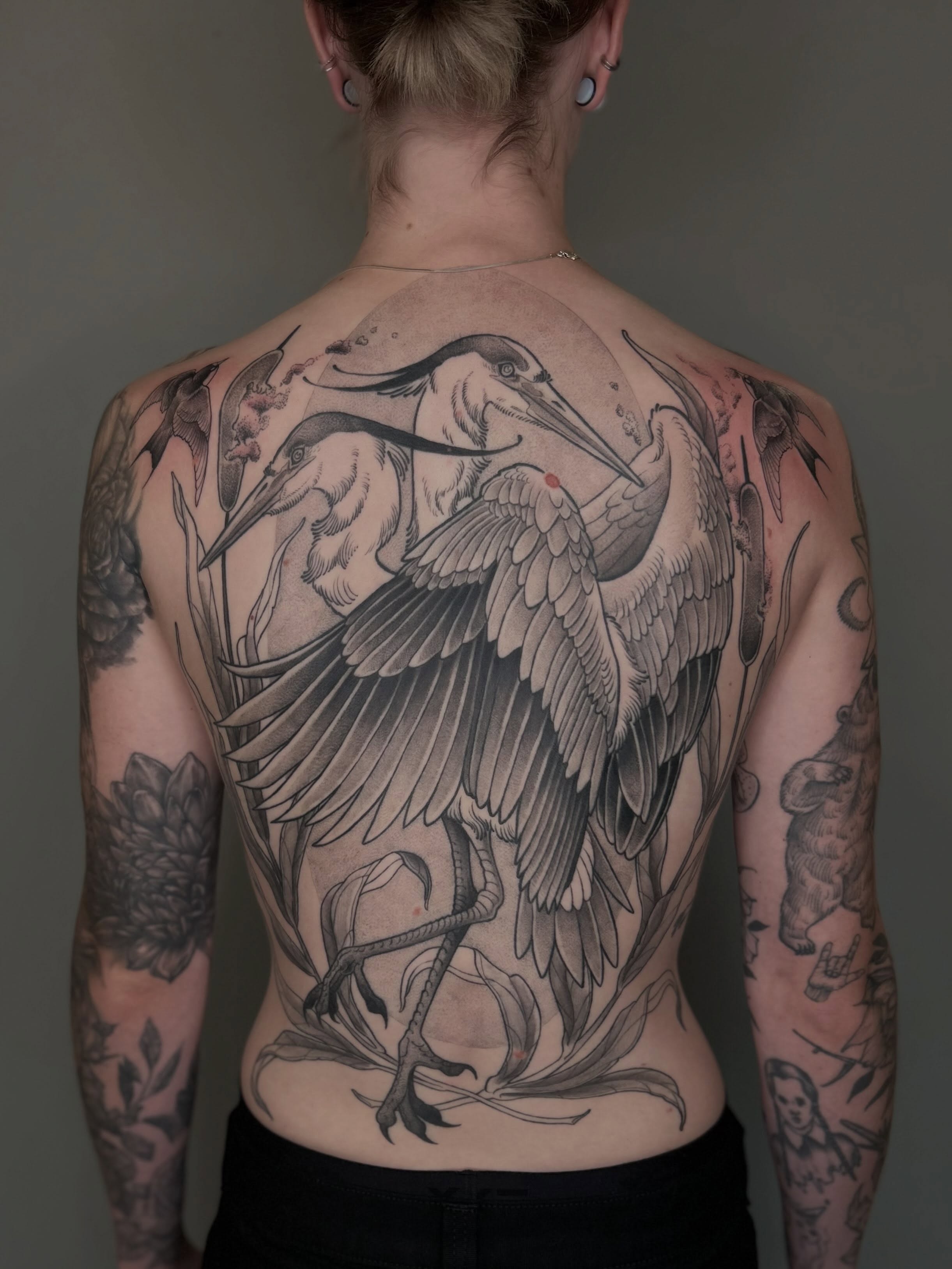 Herons black and grey tattoo on the back by Destiny Illustration