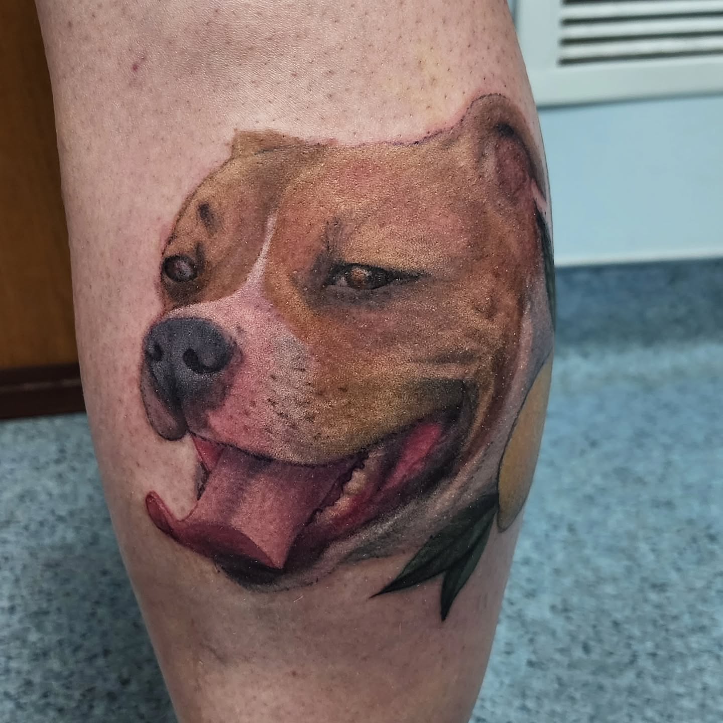 Pit bull realism tattoo on the forearm by Katie Palmer