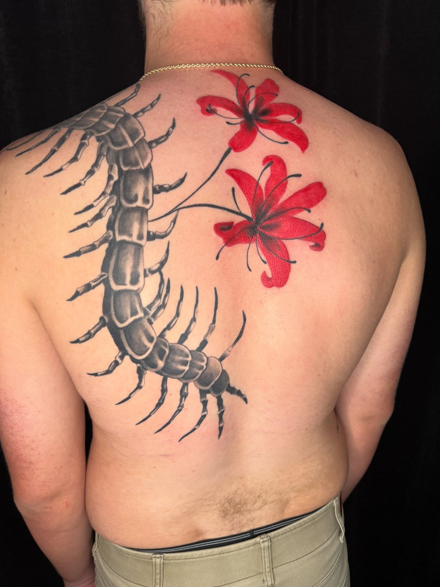 Centipede and flowers realism tattoo on the back by Cody Glenn