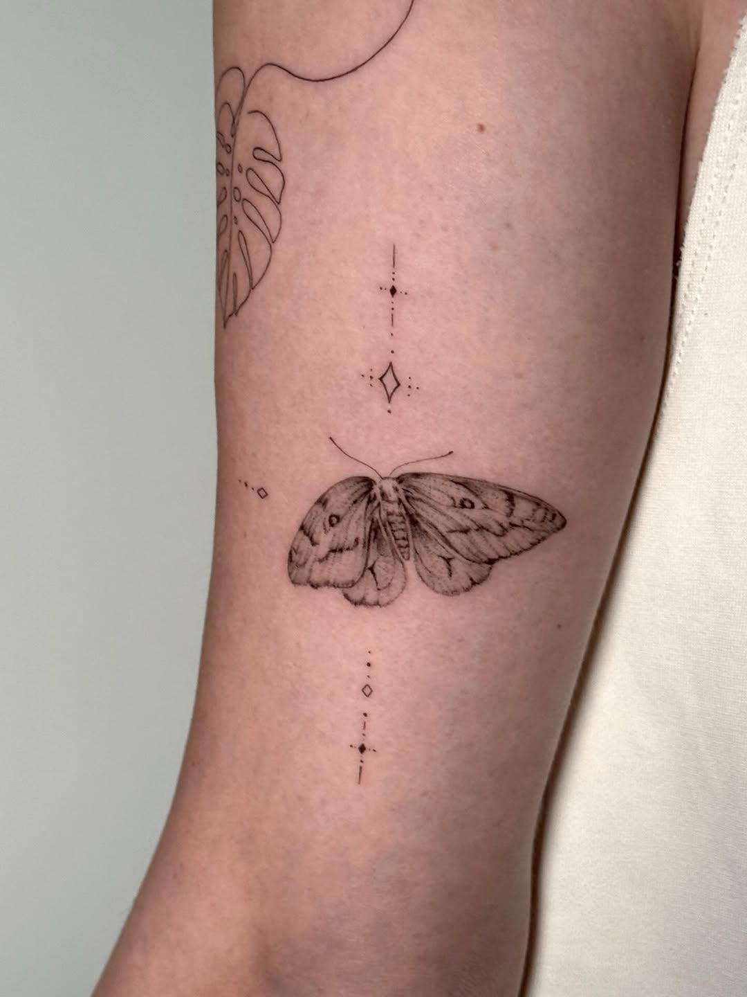 Tattoo by @sonia_ink_ — fine_line, dotwork