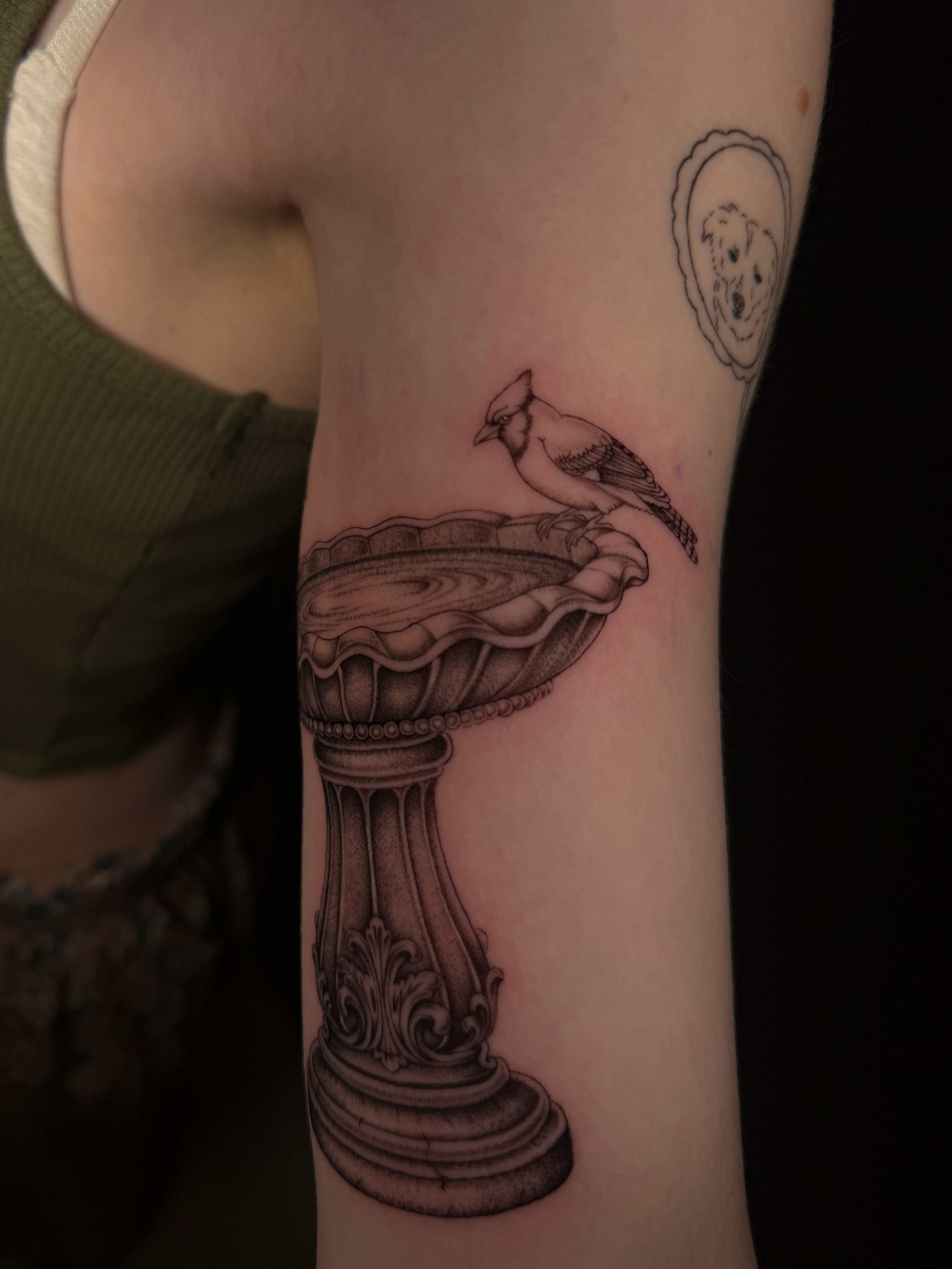 Bird on birdbath black and grey tattoo on the forearm by Marianne