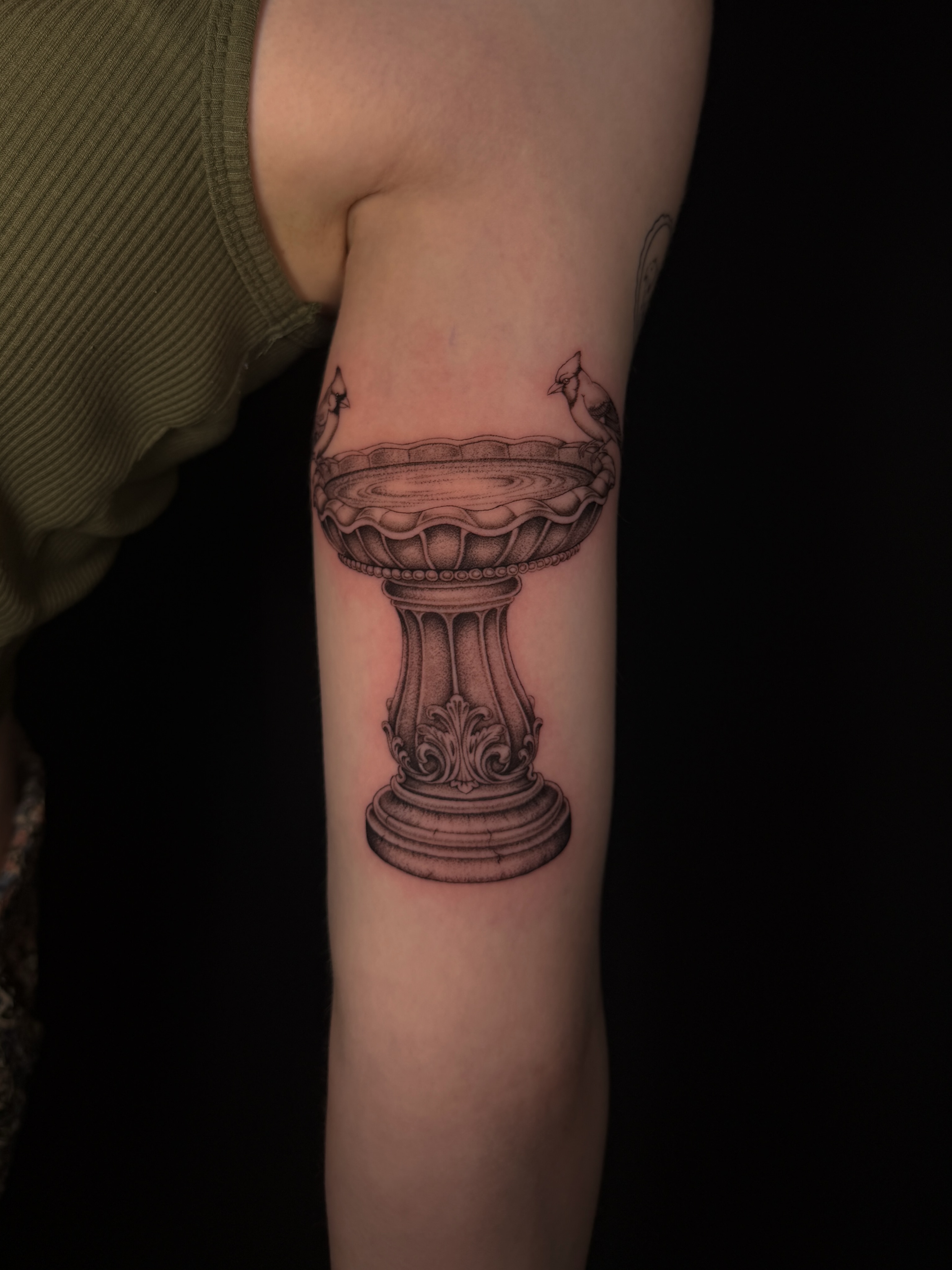 Bird bath realism tattoo on the forearm by Marianne