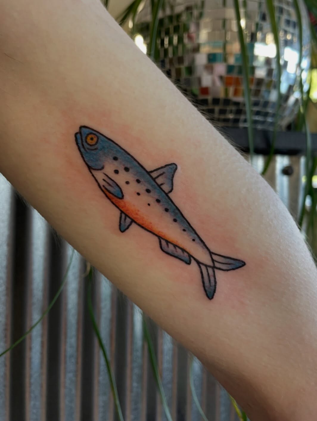 Tattoo by @mallorydoestattoos โ american_traditional
